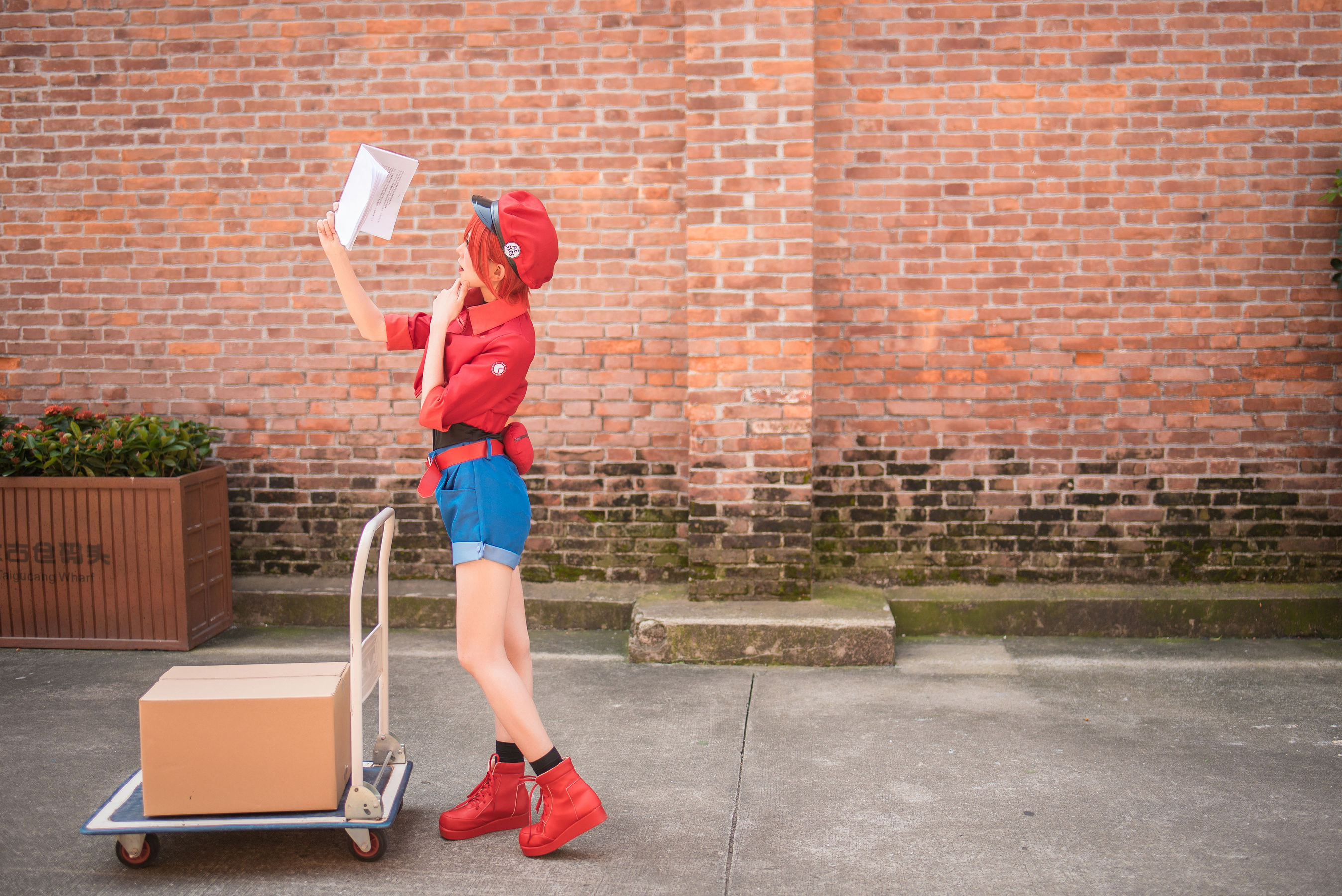 动漫博主Kitaro_绮太郎 工作细胞 [58P]-妍画集