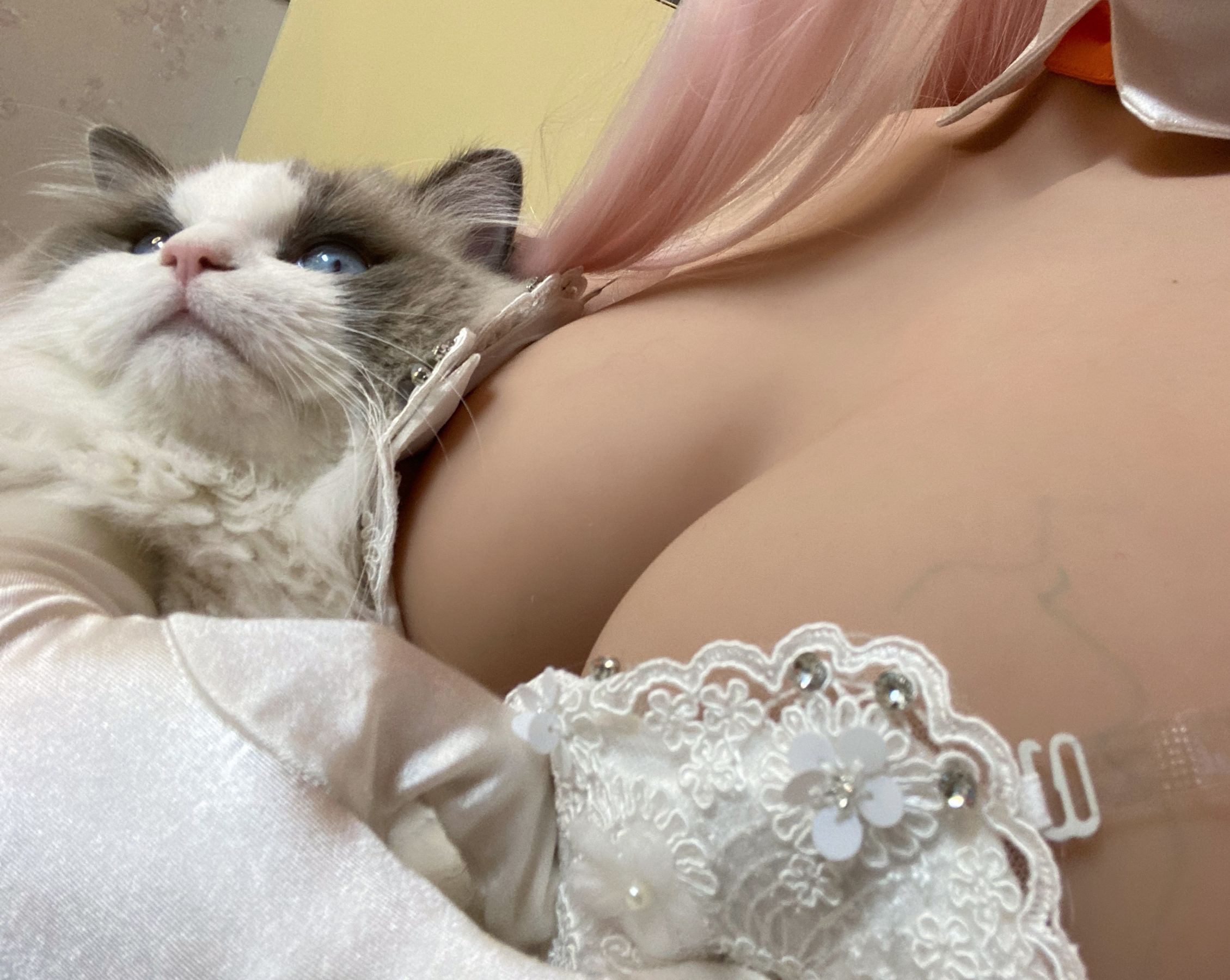 起司块wii – 自拍1 [40P]-妍画集