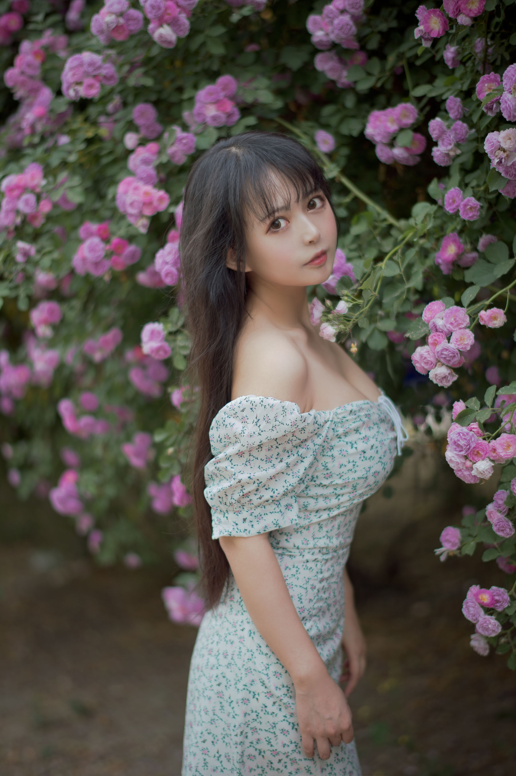 大眼萌妹黑猫猫OvO – 蔷薇2 [27P]-妍画集