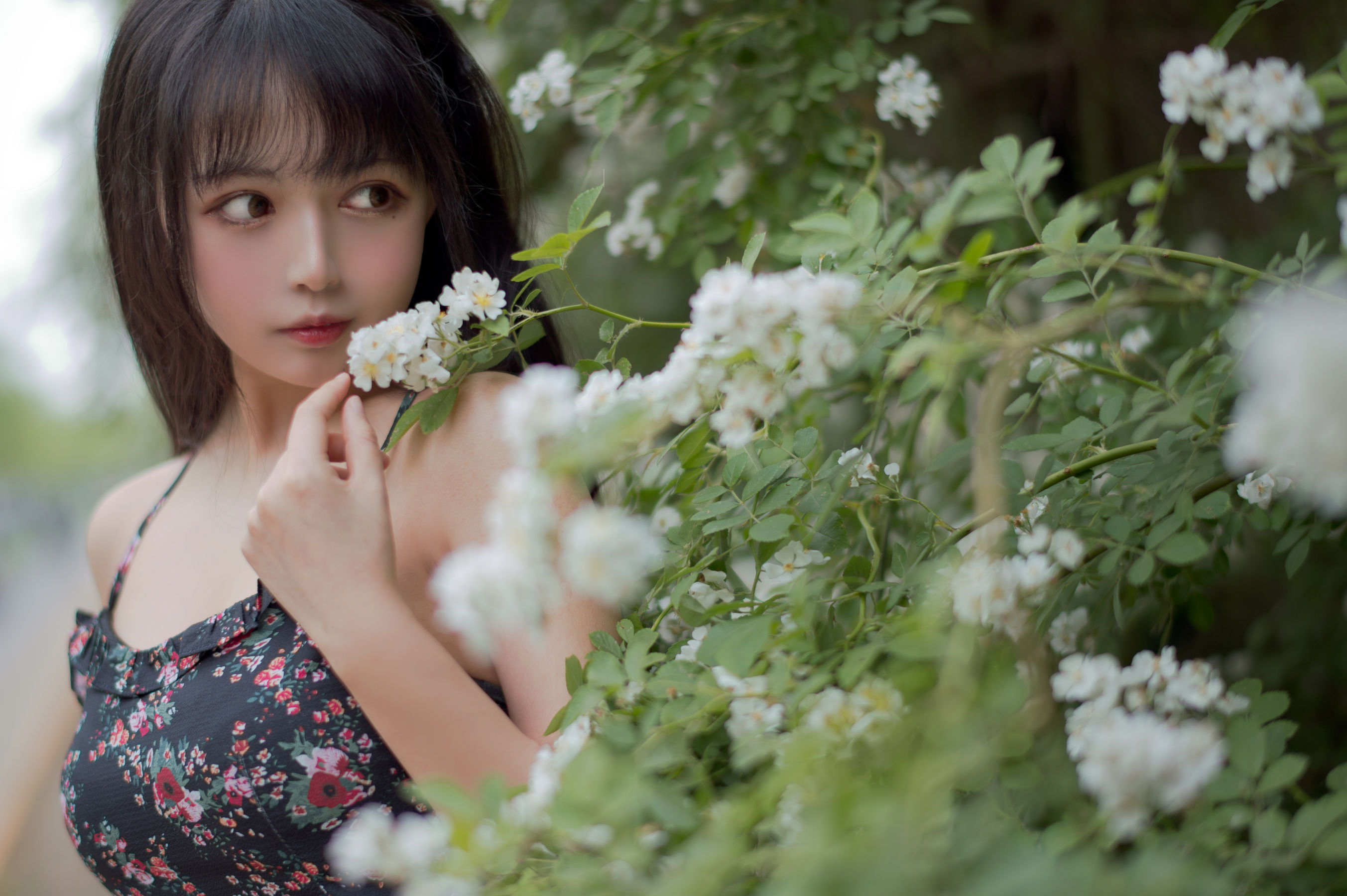 大眼萌妹黑猫猫OvO – 蔷薇1 [22P]-妍画集