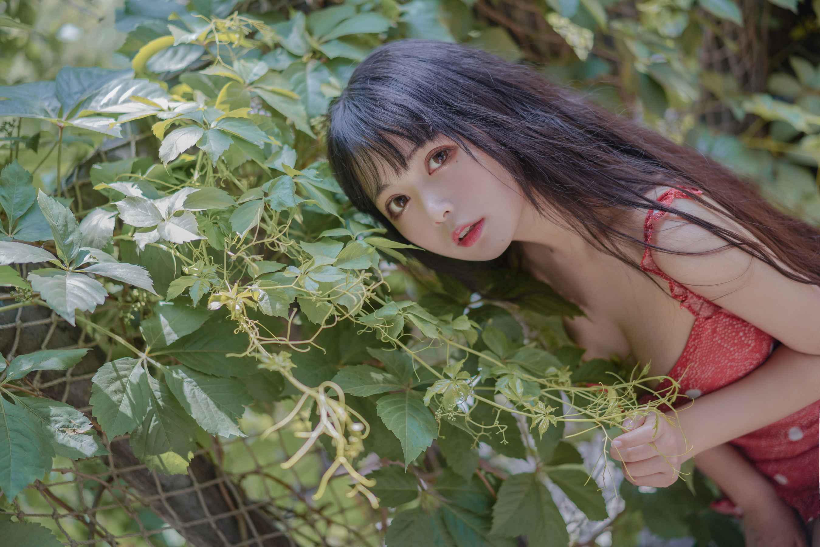 [Cosplay写真] 大眼萌妹黑猫猫OvO – 草莓 [32P] 插图6