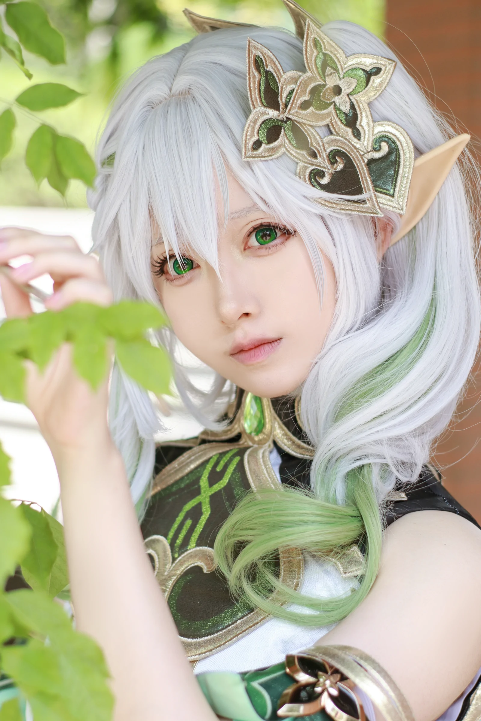 Asagiriai 愛ちゃん - 原神 納西妲 [37P] 插图2