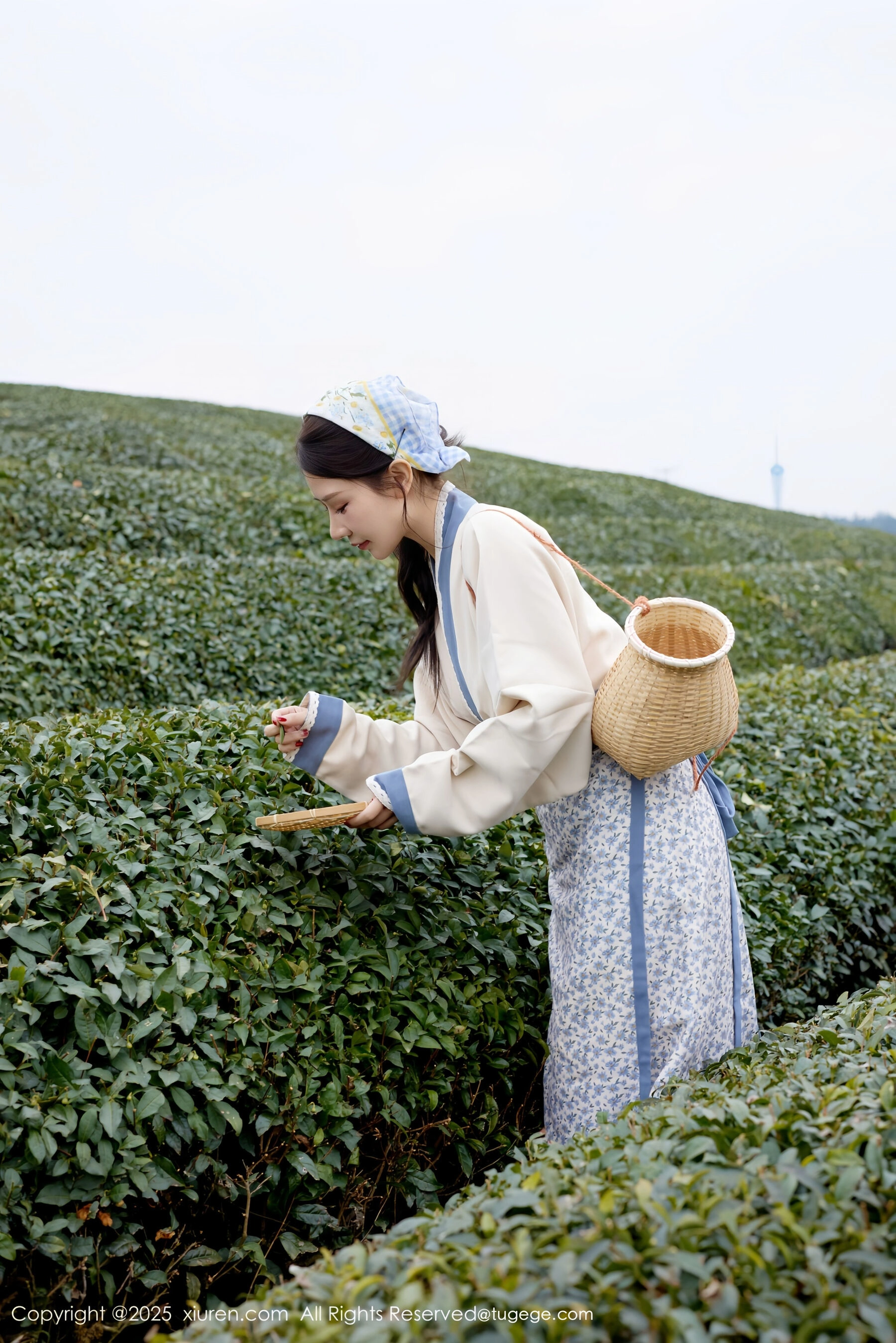 秀人网 尹甜甜 Vol.11098 [61P] 插图4