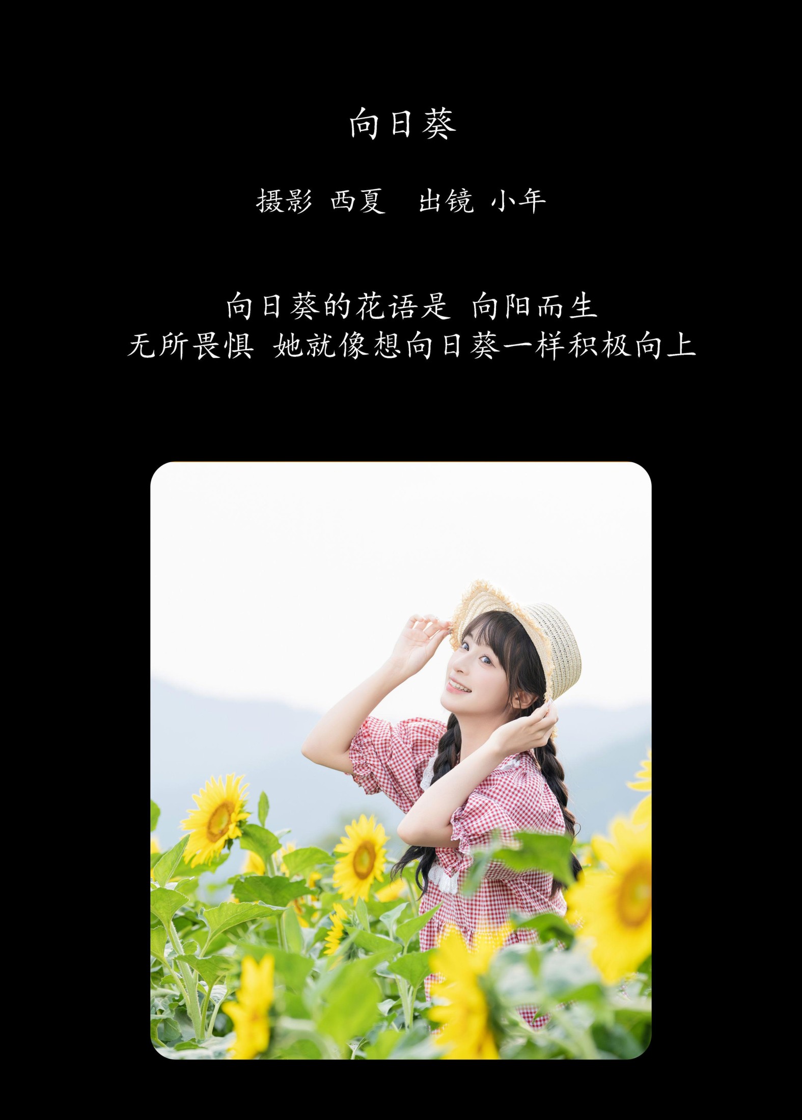 夏芋小年 – 《向日葵》[30P] 插图2