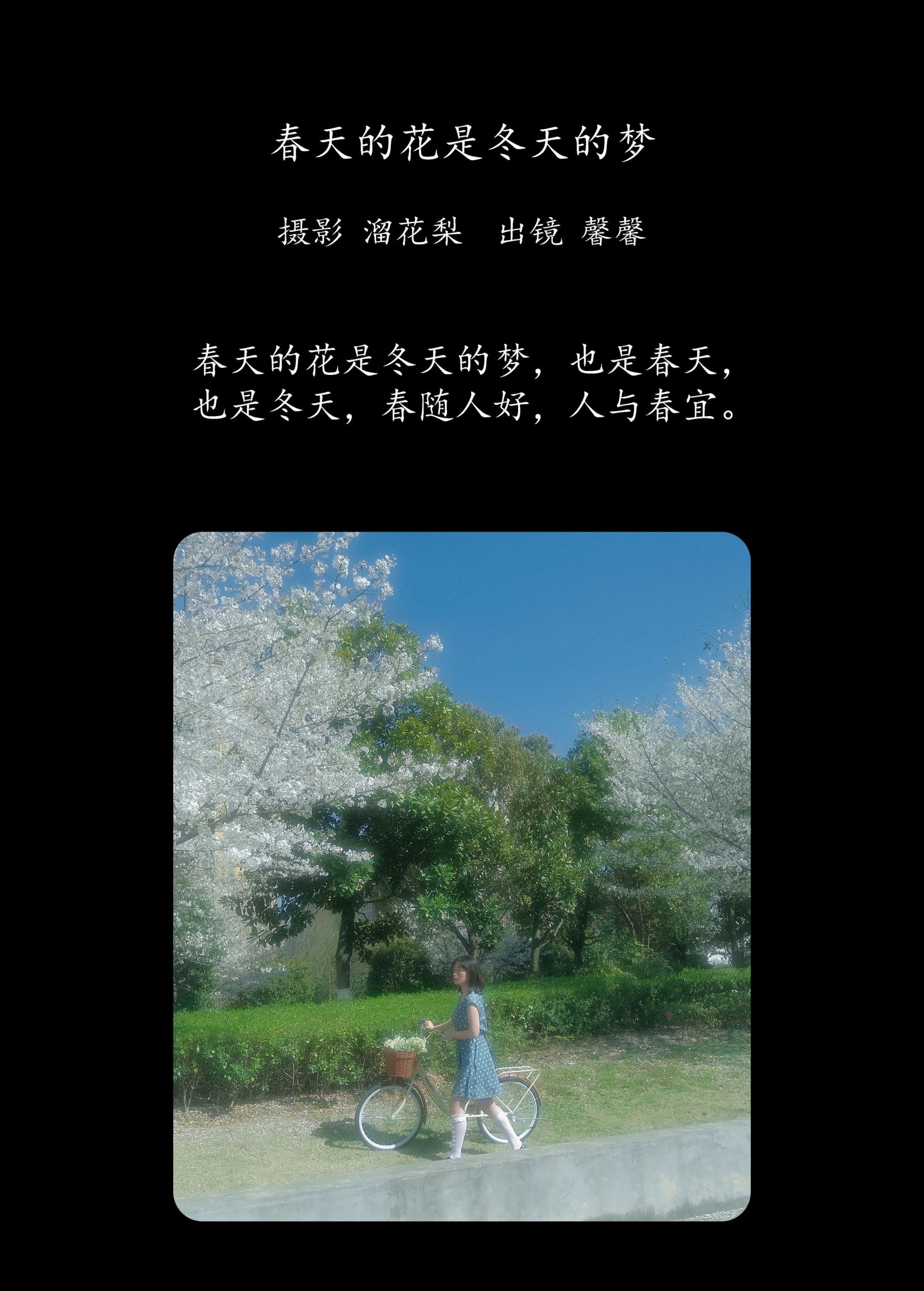 鑫鑫 – 《春天的花是冬天的梦》[23P] 插图2