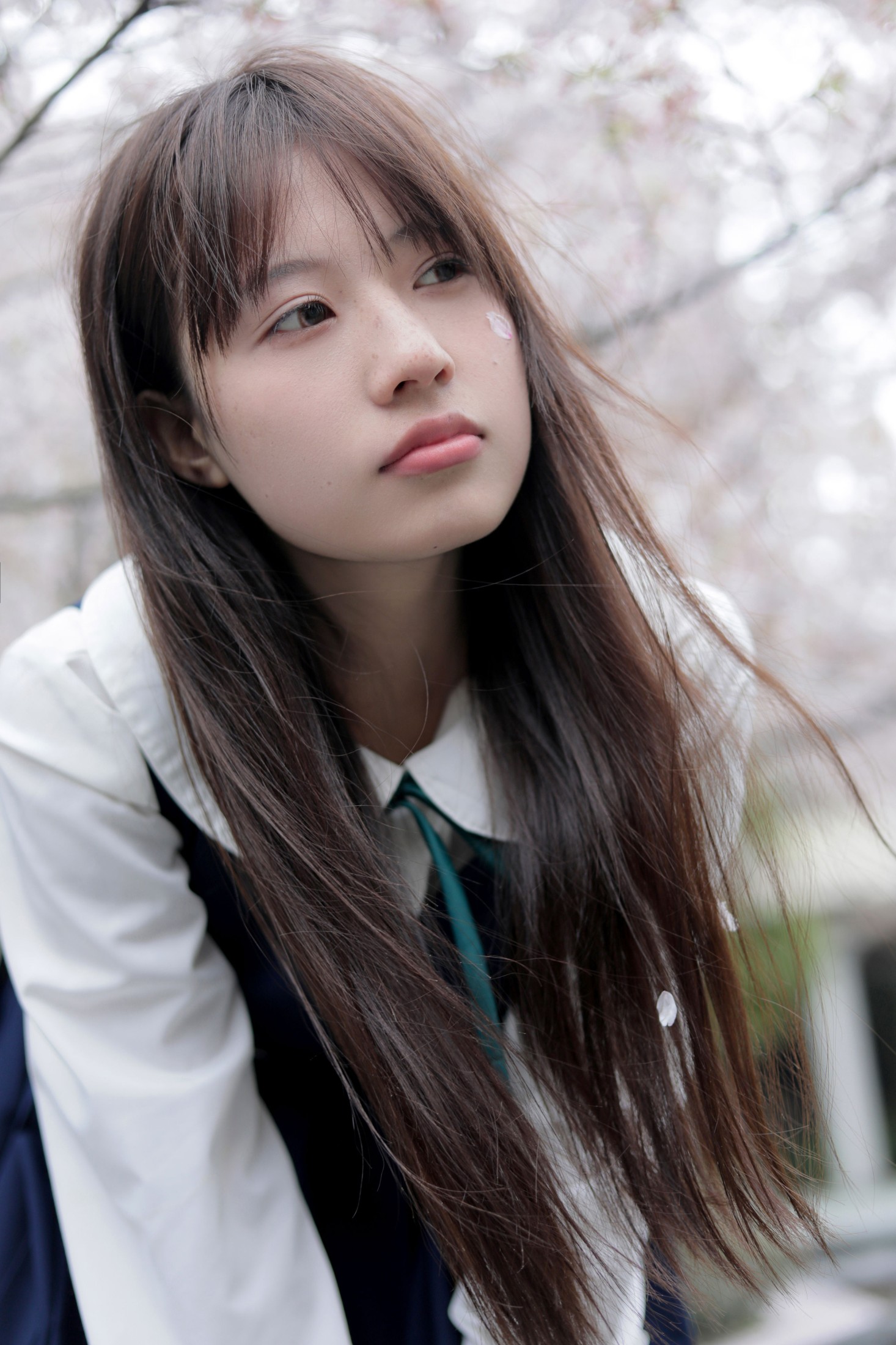  – 《春日礼赞》[35P] 插图4