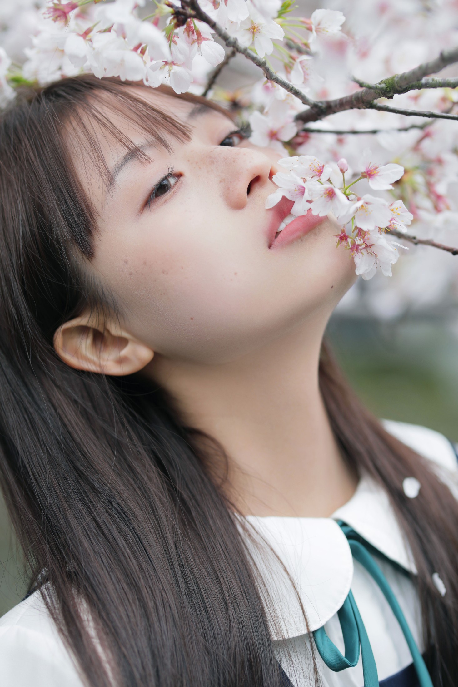 ID9732春日礼赞 - 妍画集-妍画集