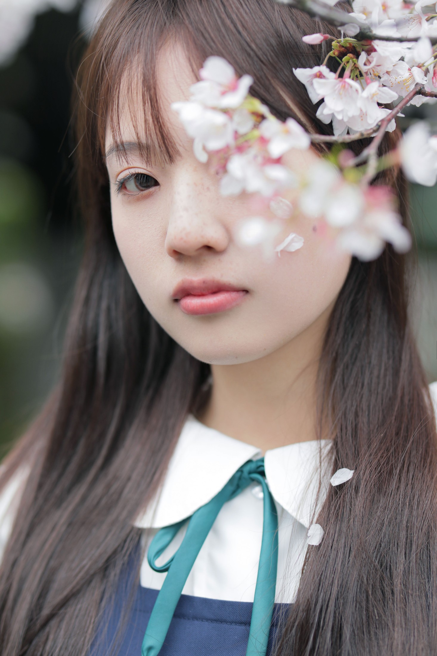  – 《春日礼赞》[35P] 插图5