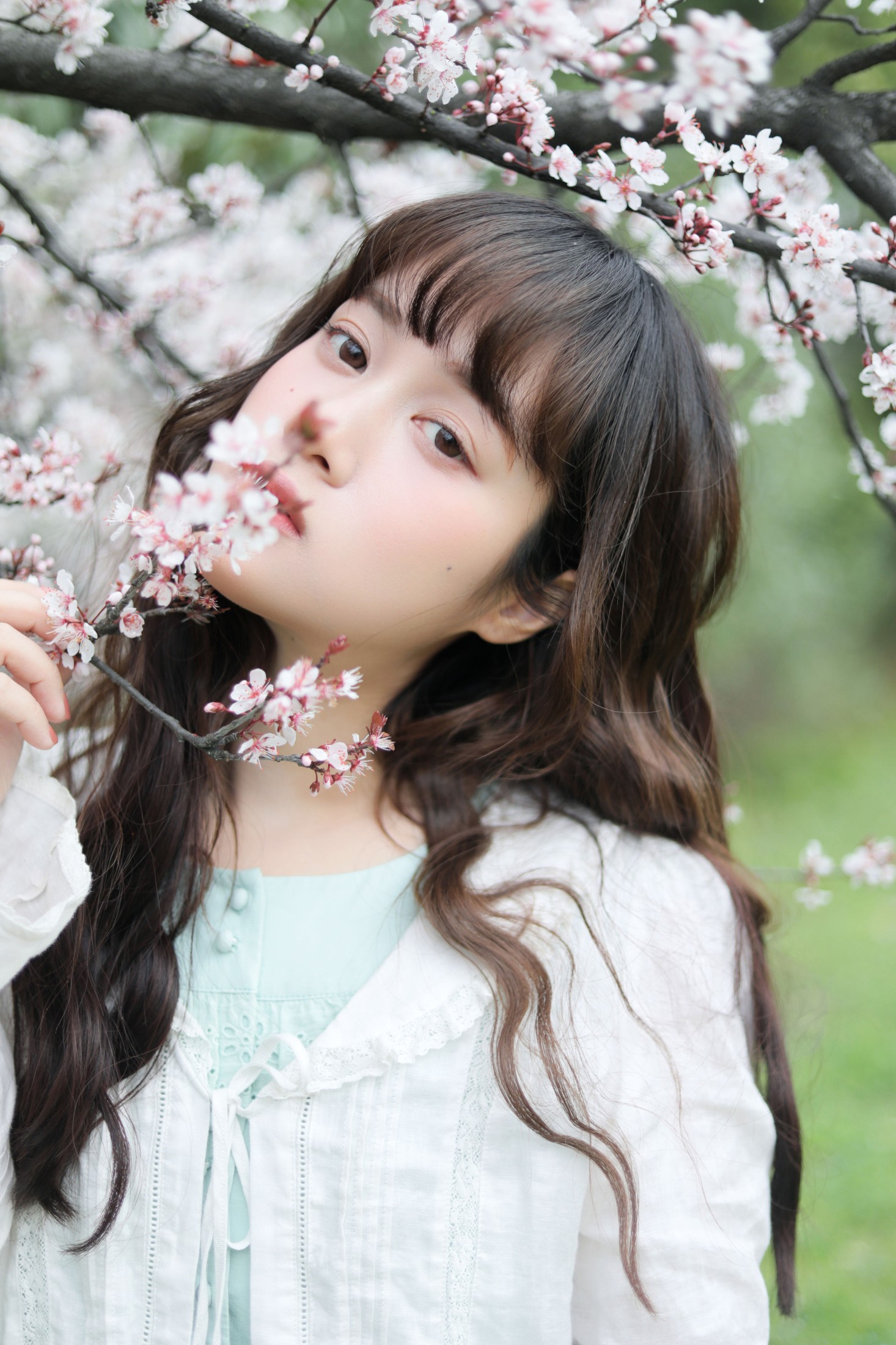 ID9976春日序曲 - 妍画集-妍画集