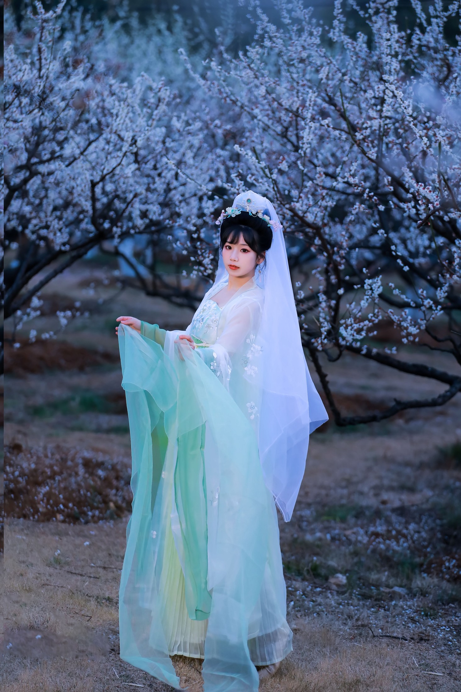 ID10000暗香 - 妍画集-妍画集