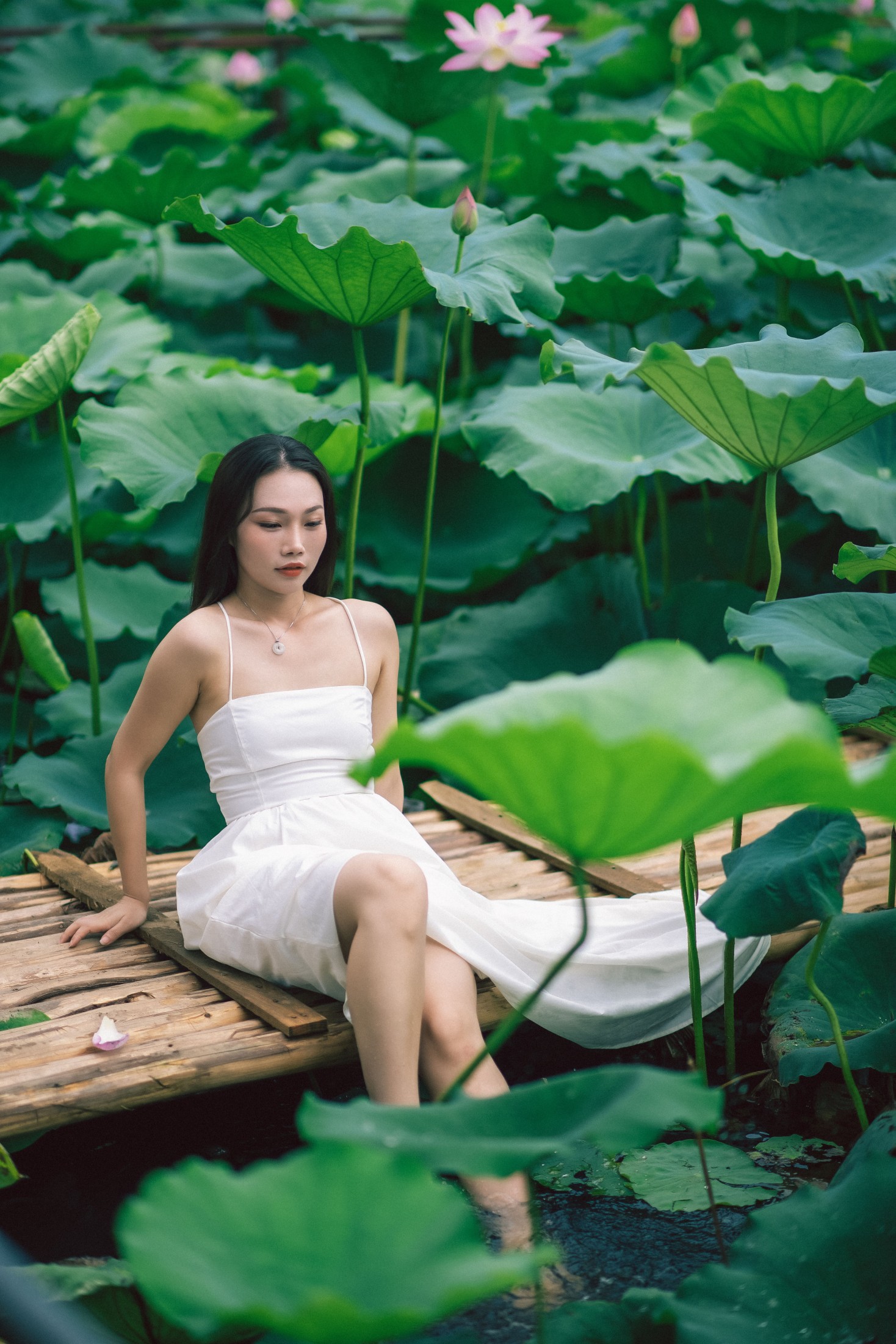 橘子 – 《雨荷》[26P] 插图4