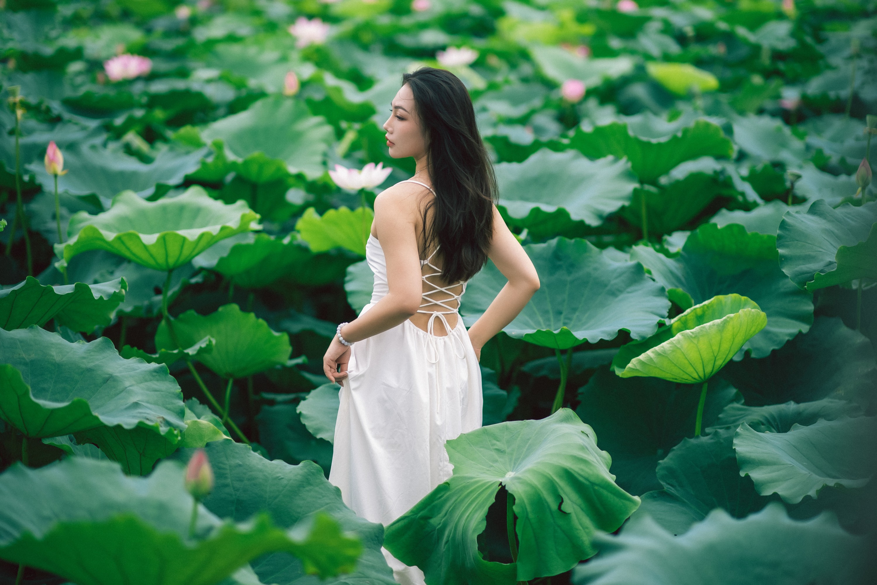 ID9728雨荷 - 妍画集-妍画集