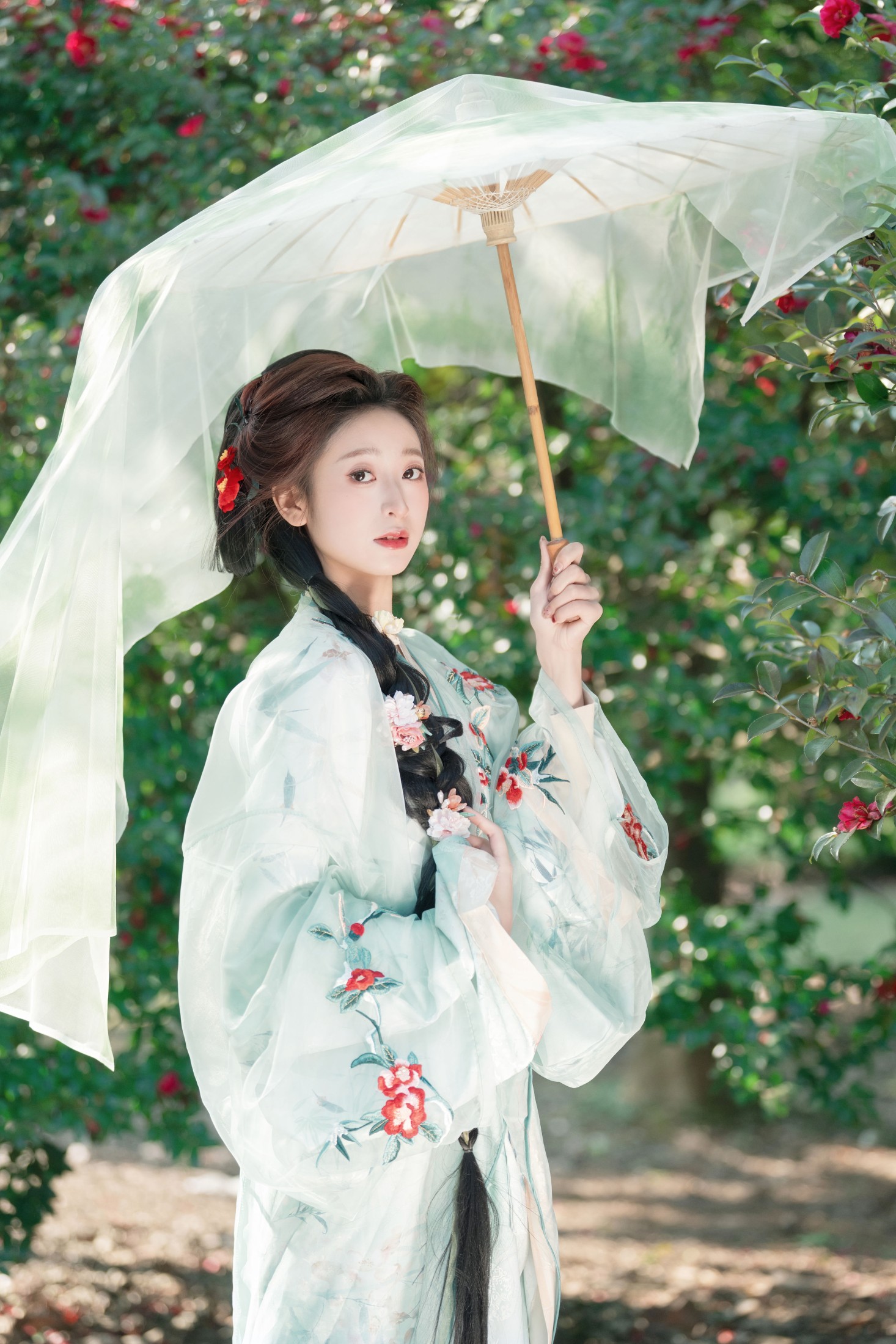 ID9738山茶花 - 妍画集-妍画集