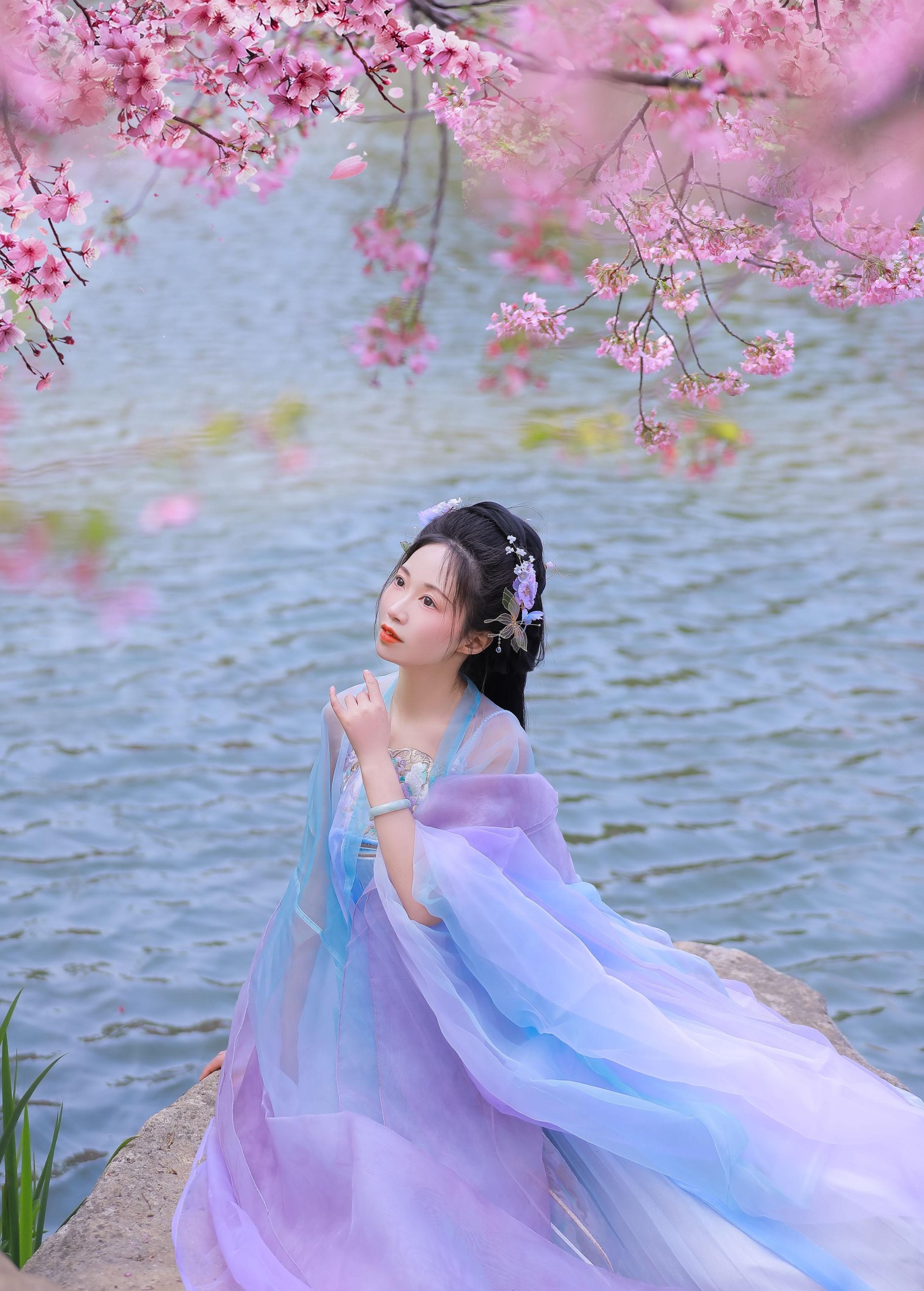 ID10032樱花 - 妍画集-妍画集