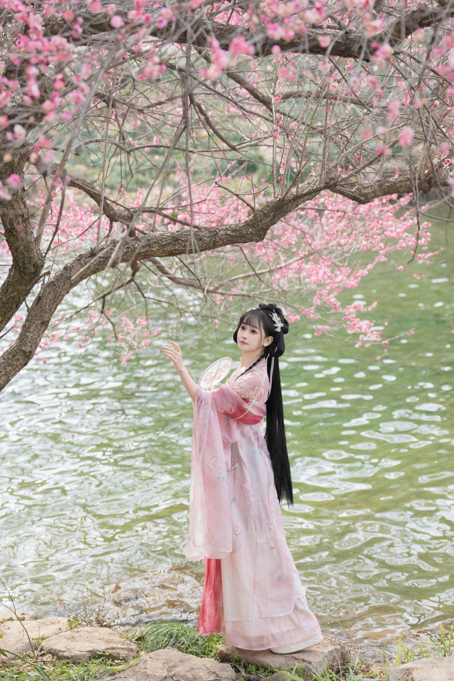 ID9758梅花盛开 - 妍画集-妍画集