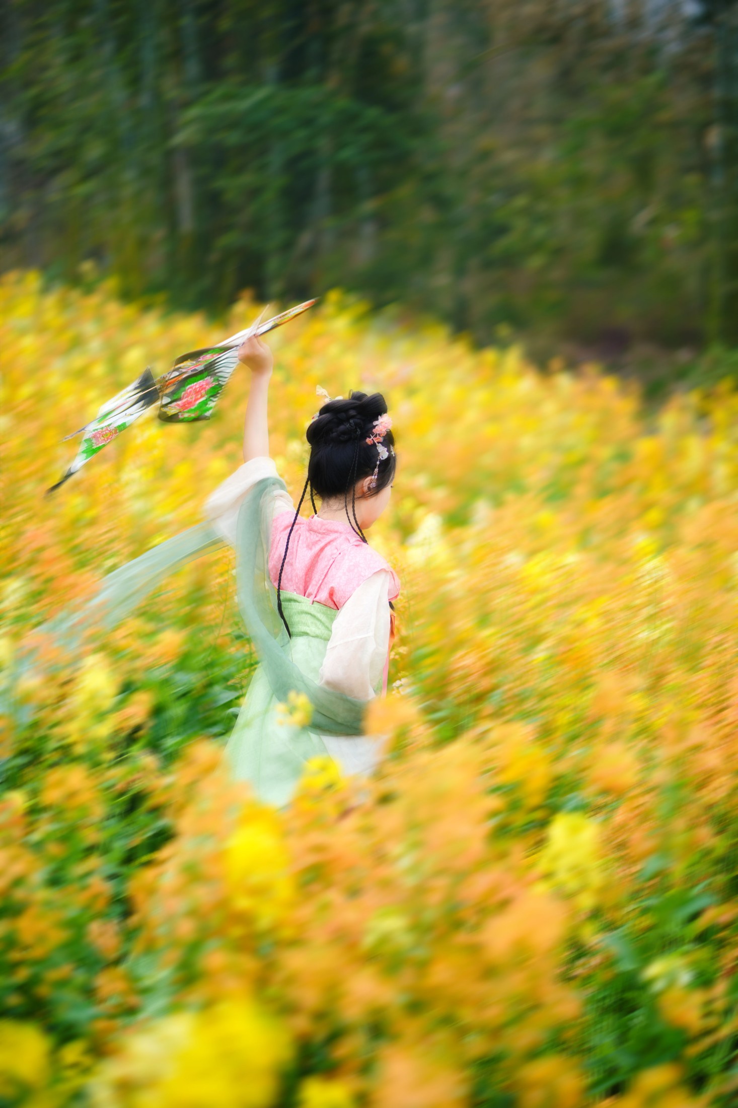 ID10048油菜 - 妍画集-妍画集
