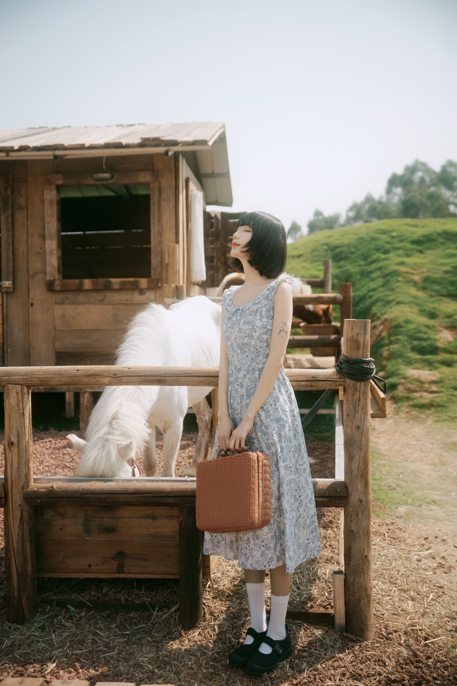 ID10061马房童话 - 妍画集-妍画集