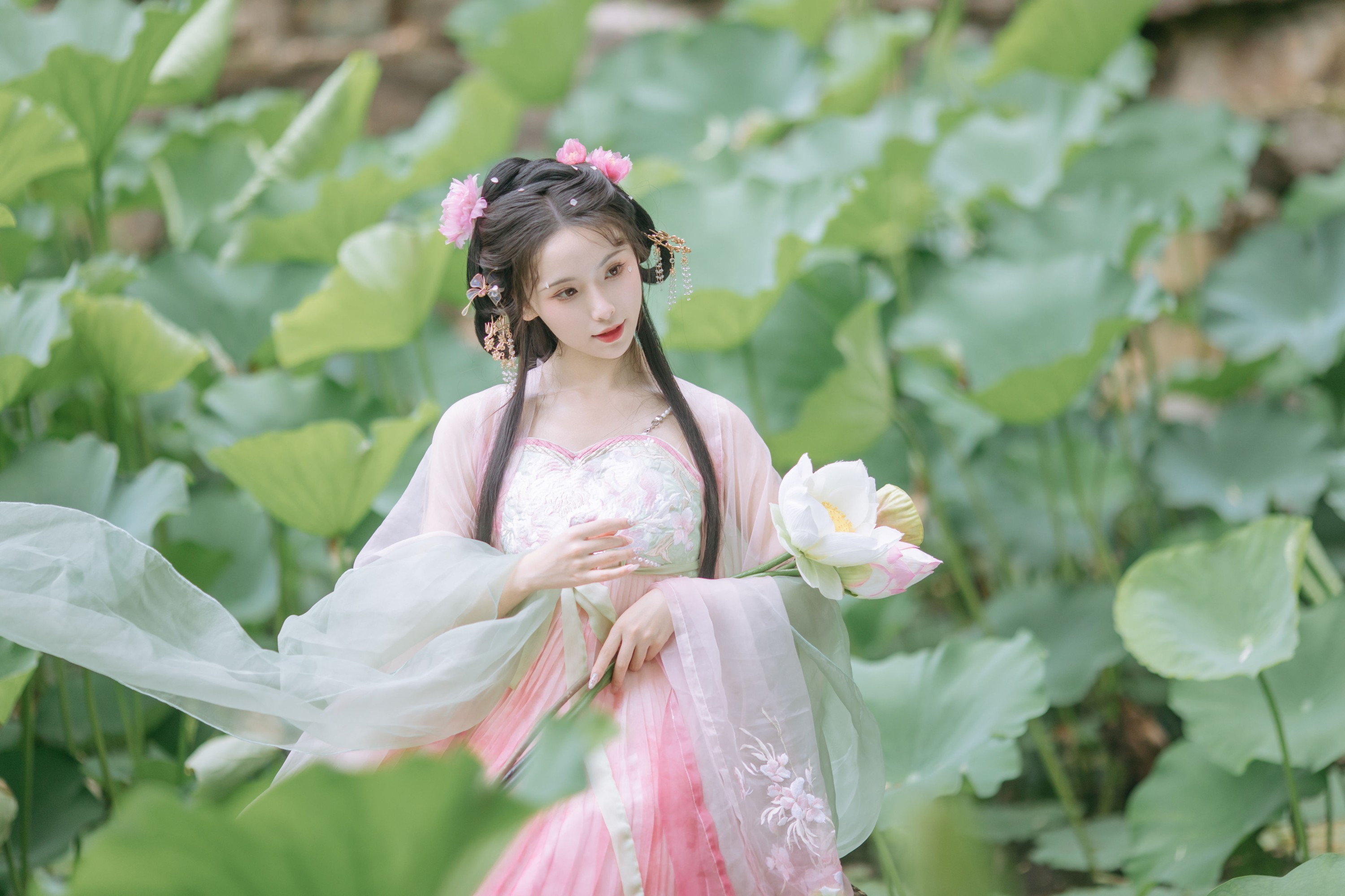 ID9759荷香袅袅 - 妍画集-妍画集