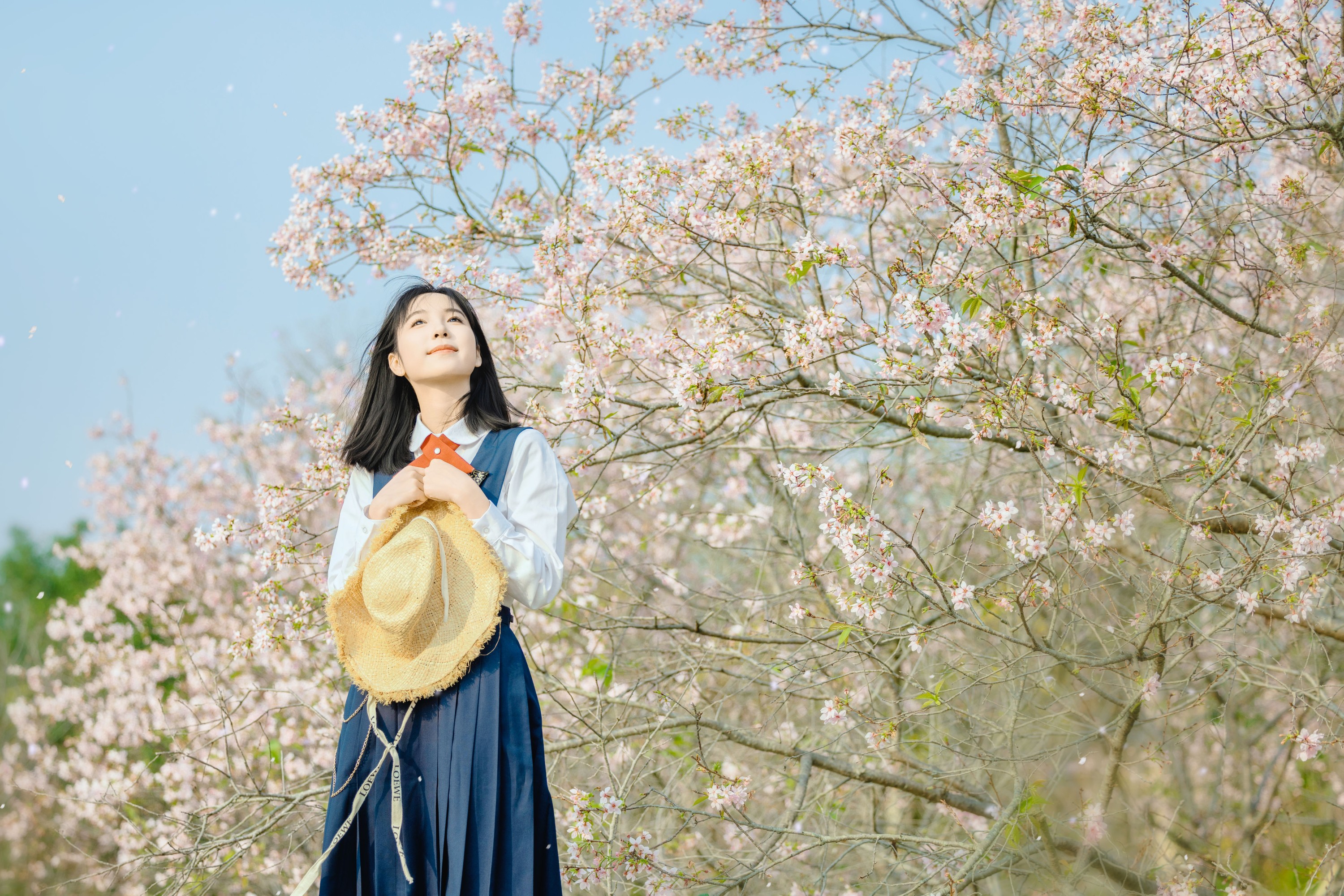ID10189起风了 - 妍画集-妍画集