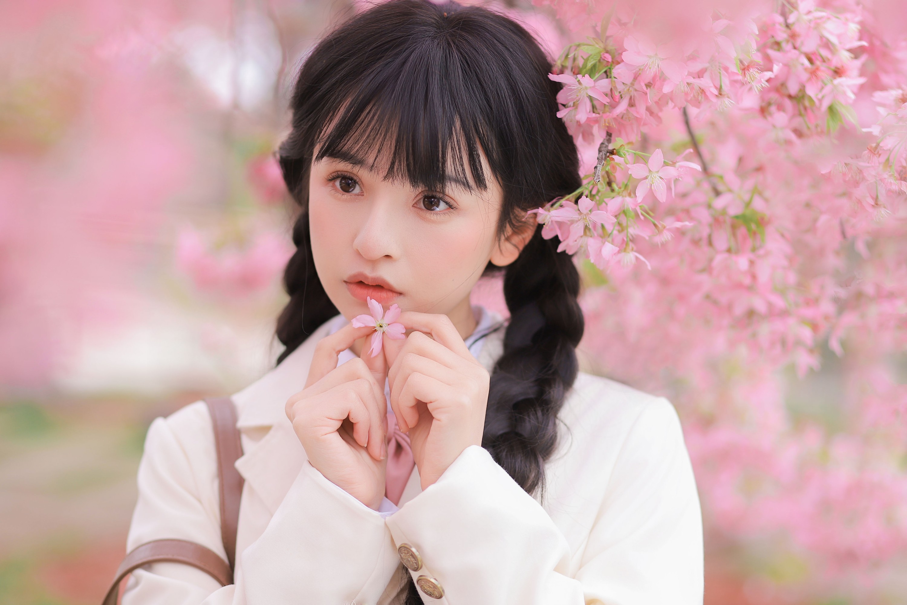 ID10180樱花树下 - 妍画集-妍画集