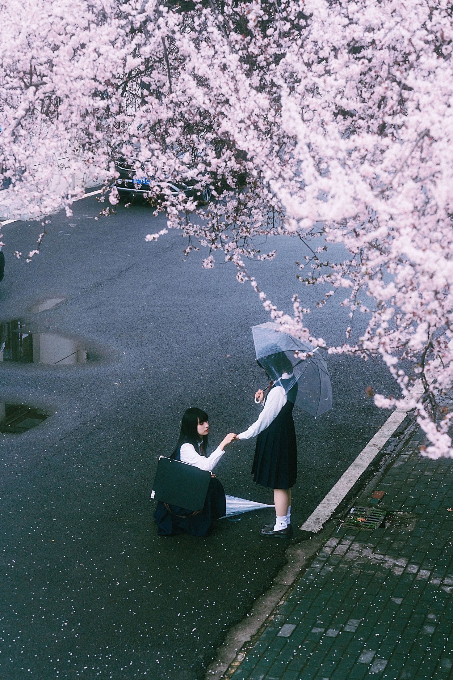 ID10163未完成的春分线 - 妍画集-妍画集
