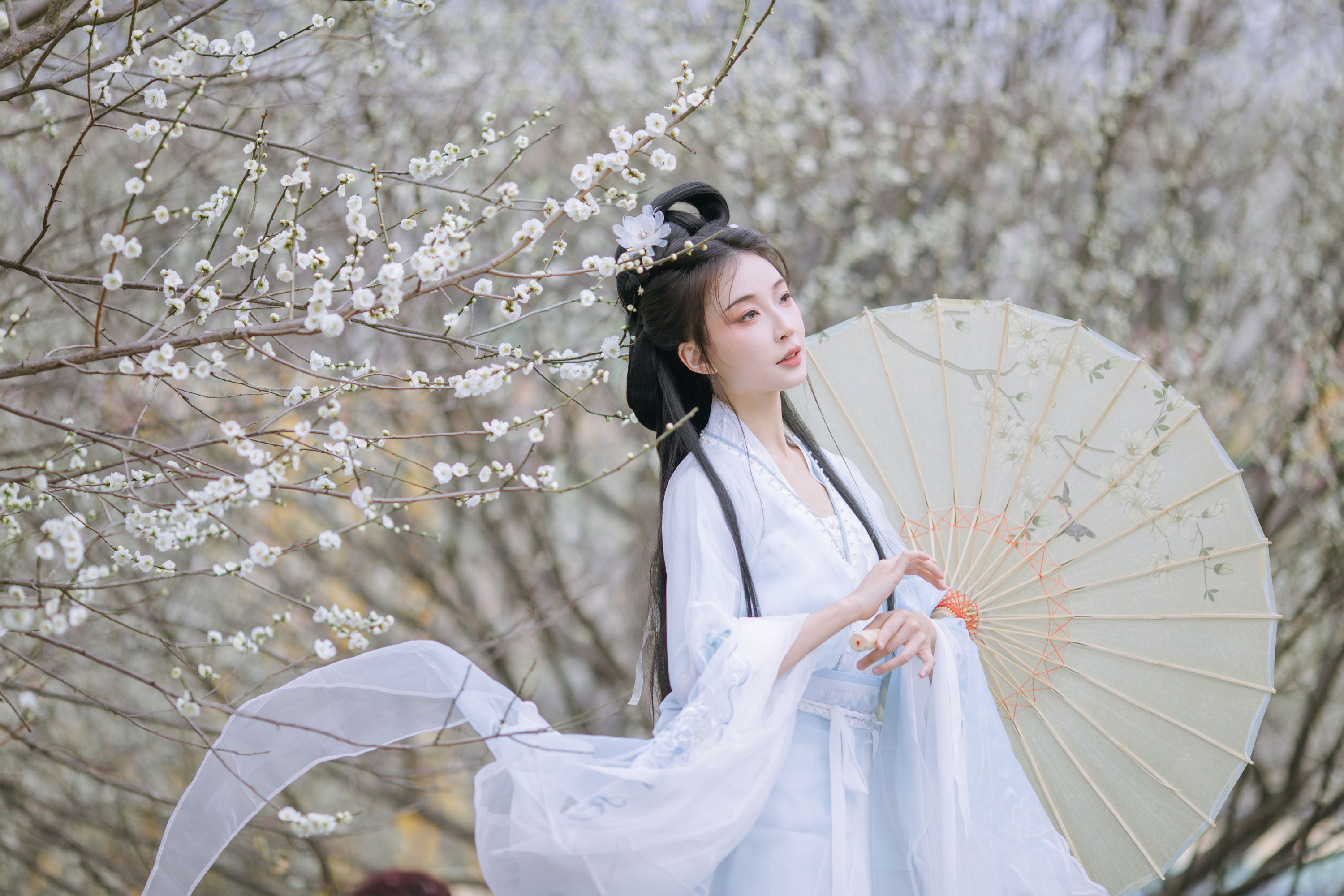 无巧不成狐（兮雅） – 《暗香浮动》[18P] 插图3