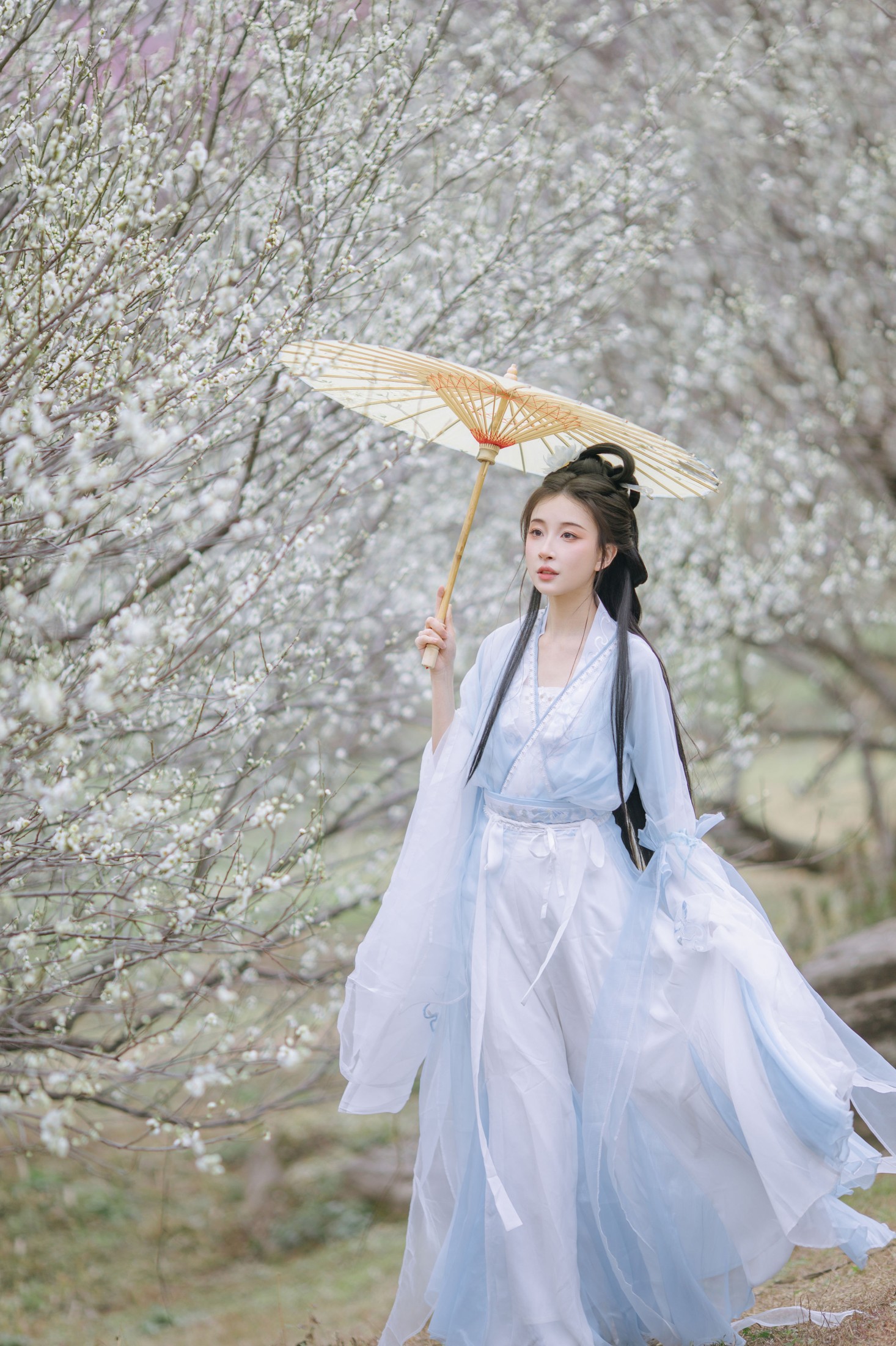 无巧不成狐（兮雅） – 《暗香浮动》[18P] 插图5