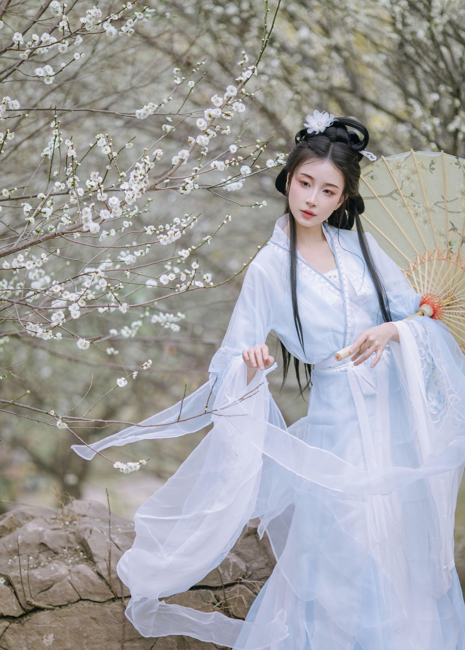 无巧不成狐（兮雅） – 《暗香浮动》[18P] 插图2