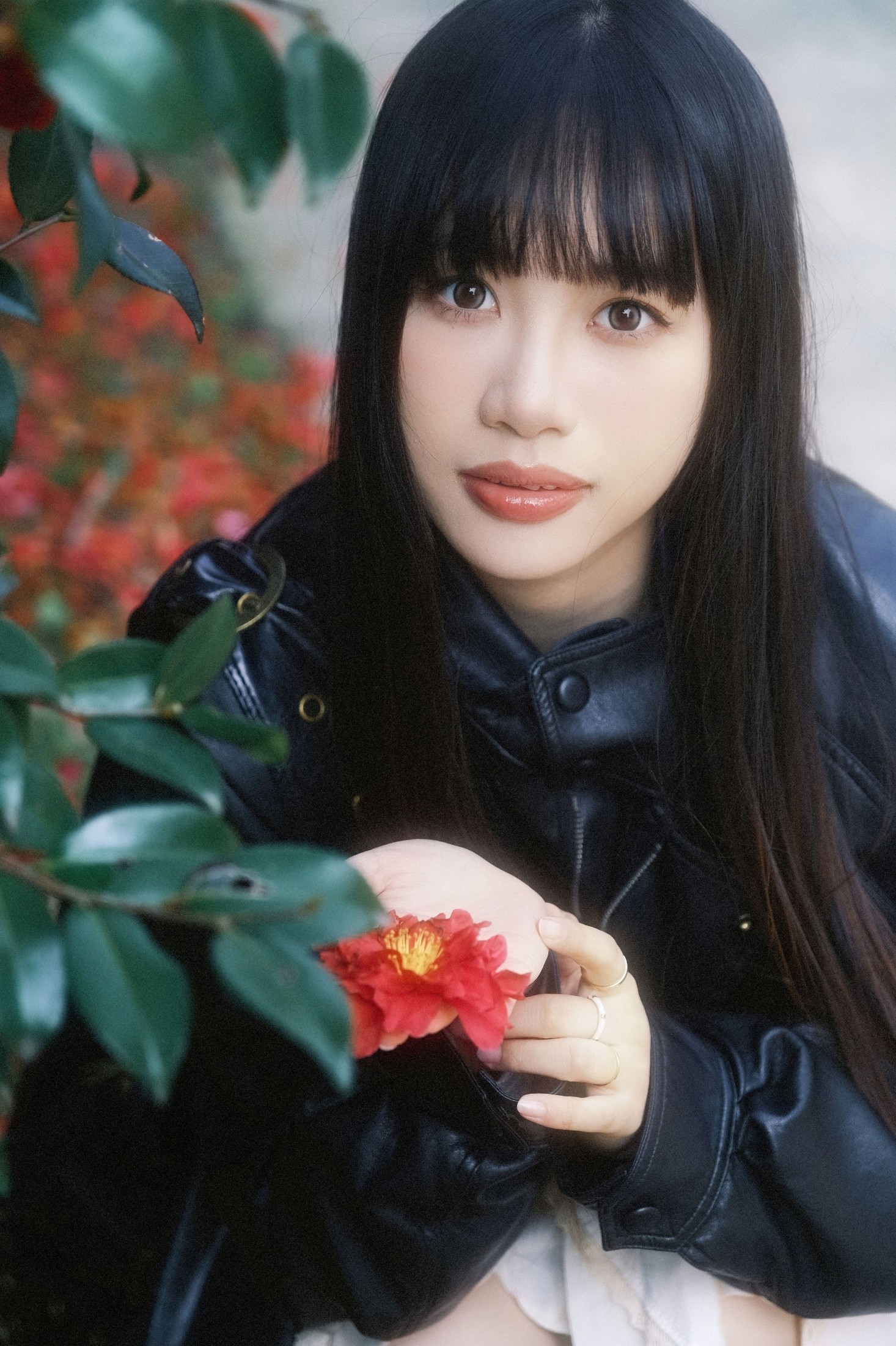 ID10173动物园记 - 妍画集-妍画集
