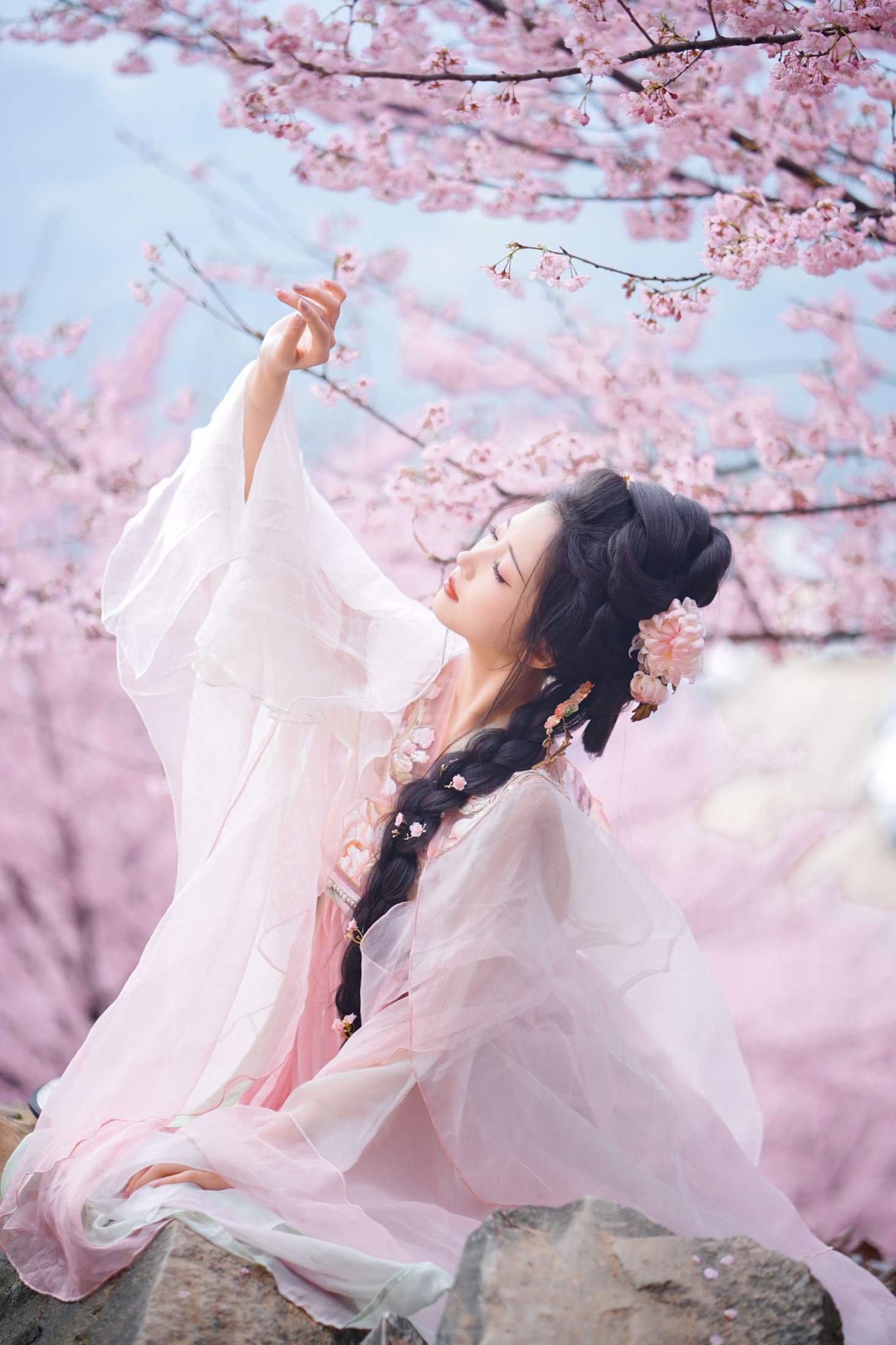 ID10218春日樱 - 妍画集-妍画集
