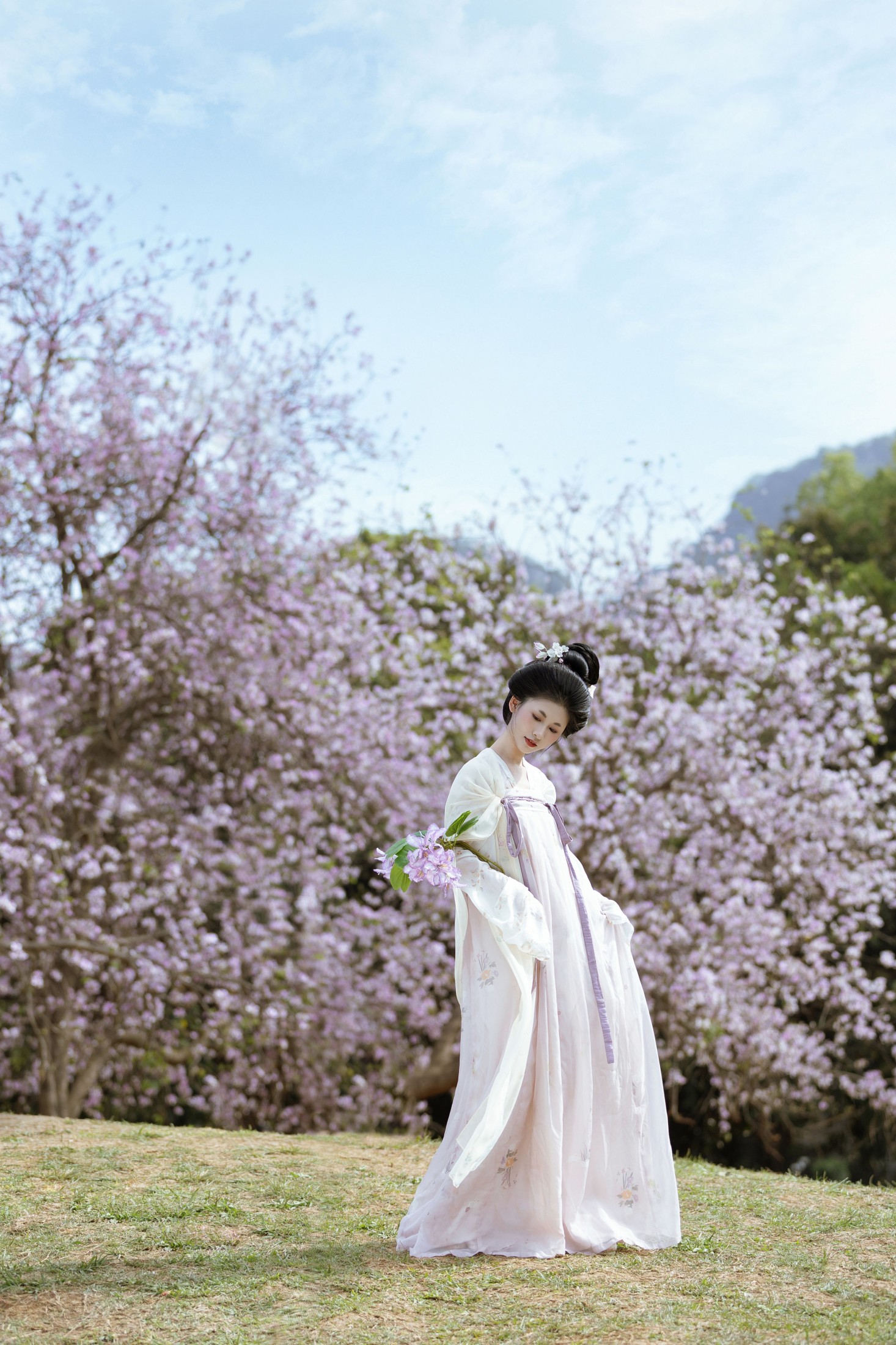 ID10199咏紫荆 - 妍画集-妍画集