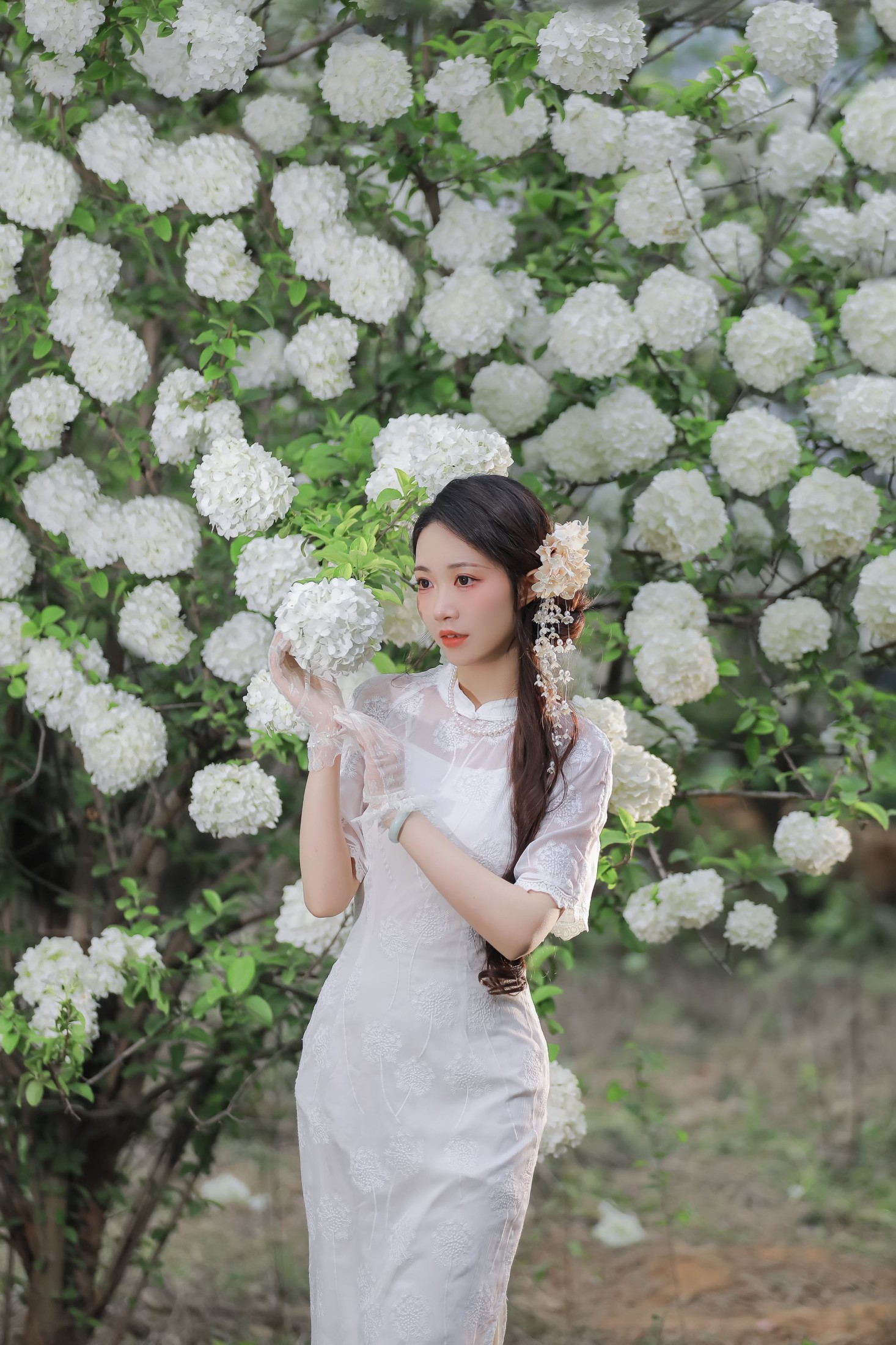 ID10229春日物语 - 妍画集-妍画集