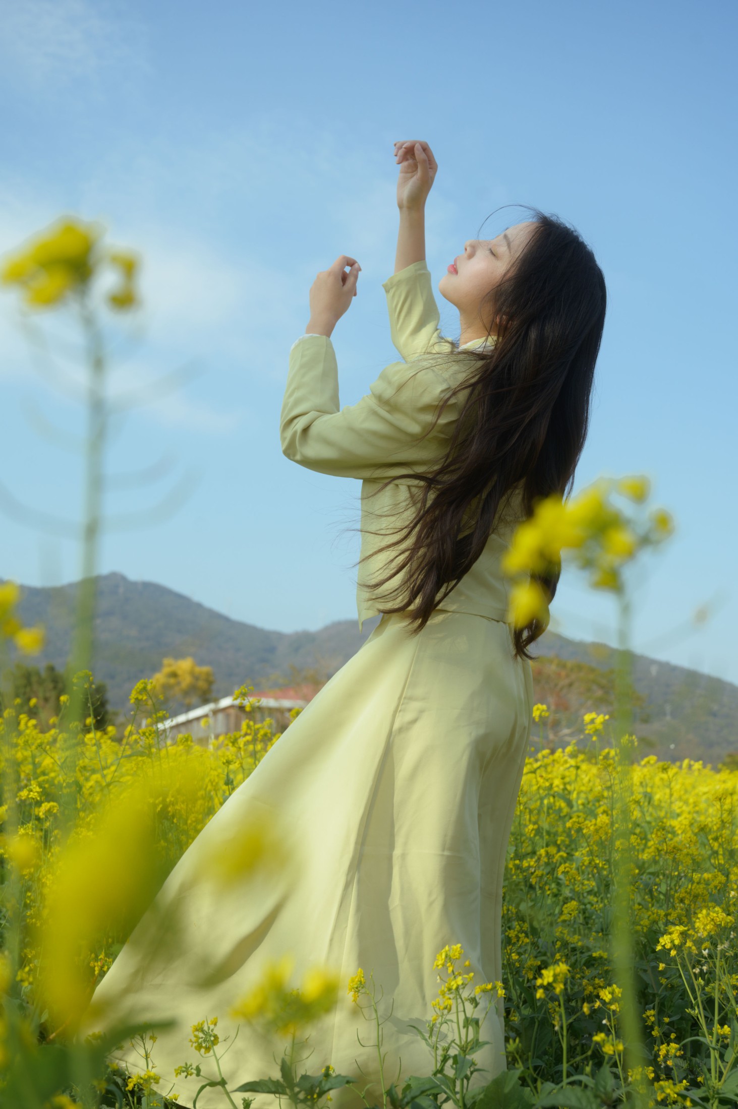 ID10122盛开的春天 - 妍画集-妍画集