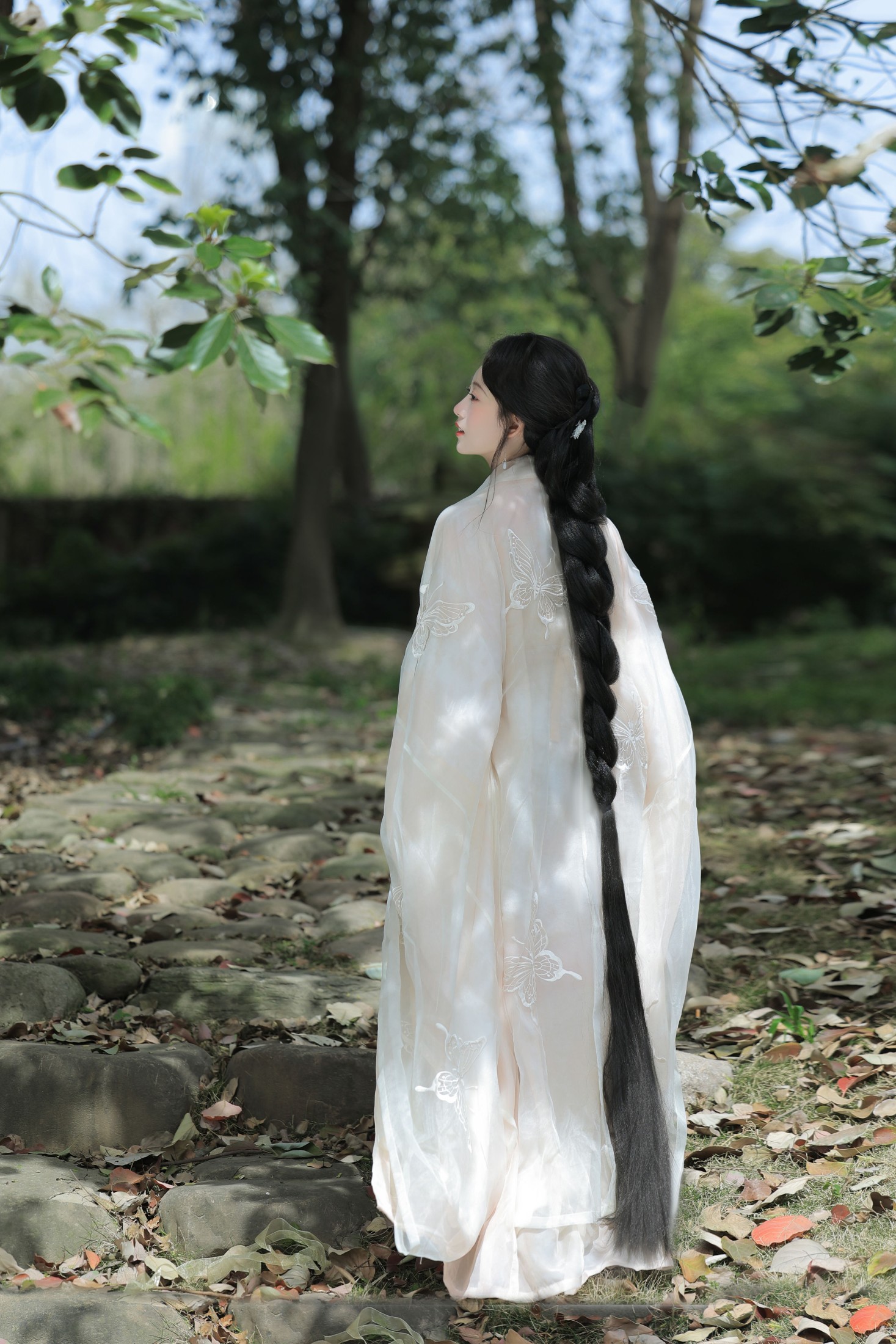 ID10245春之樱 - 妍画集-妍画集