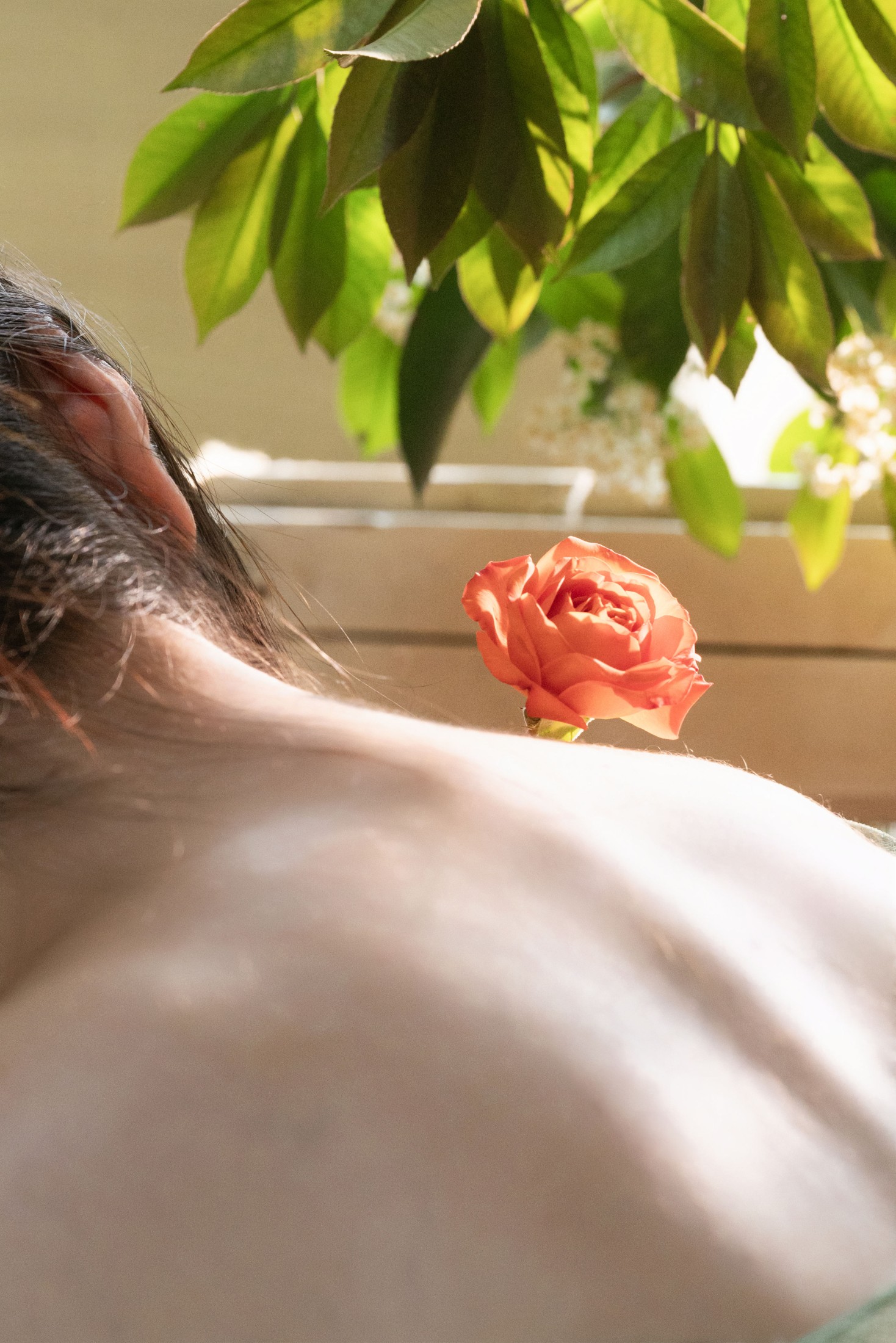 ID10249花香 - 妍画集-妍画集