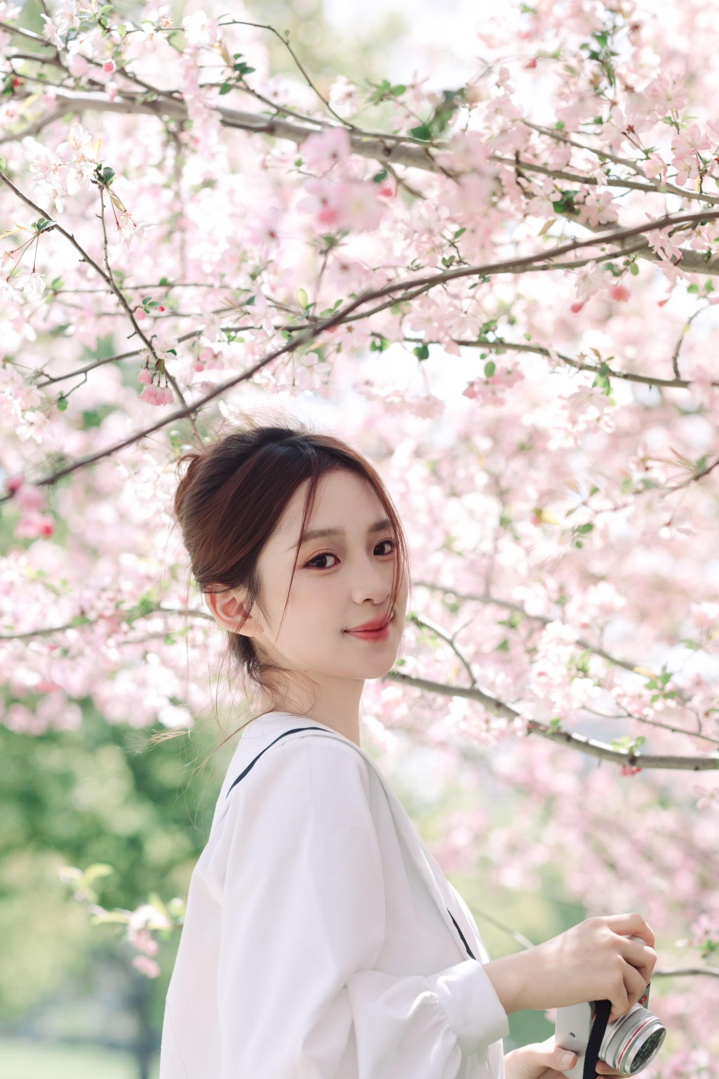 ID10252海棠花未眠 - 妍画集-妍画集