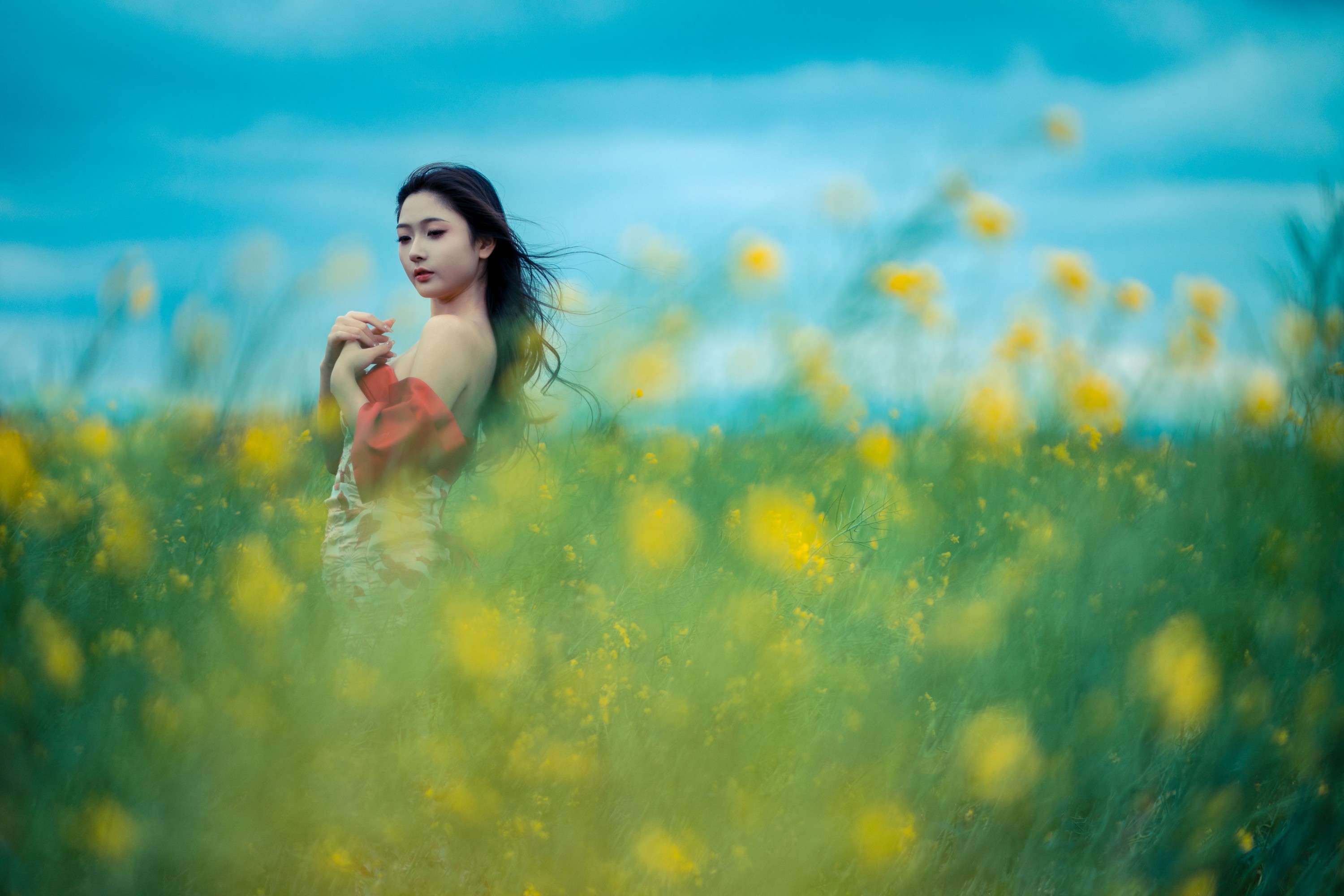 ID9782冷风吹 - 妍画集-妍画集