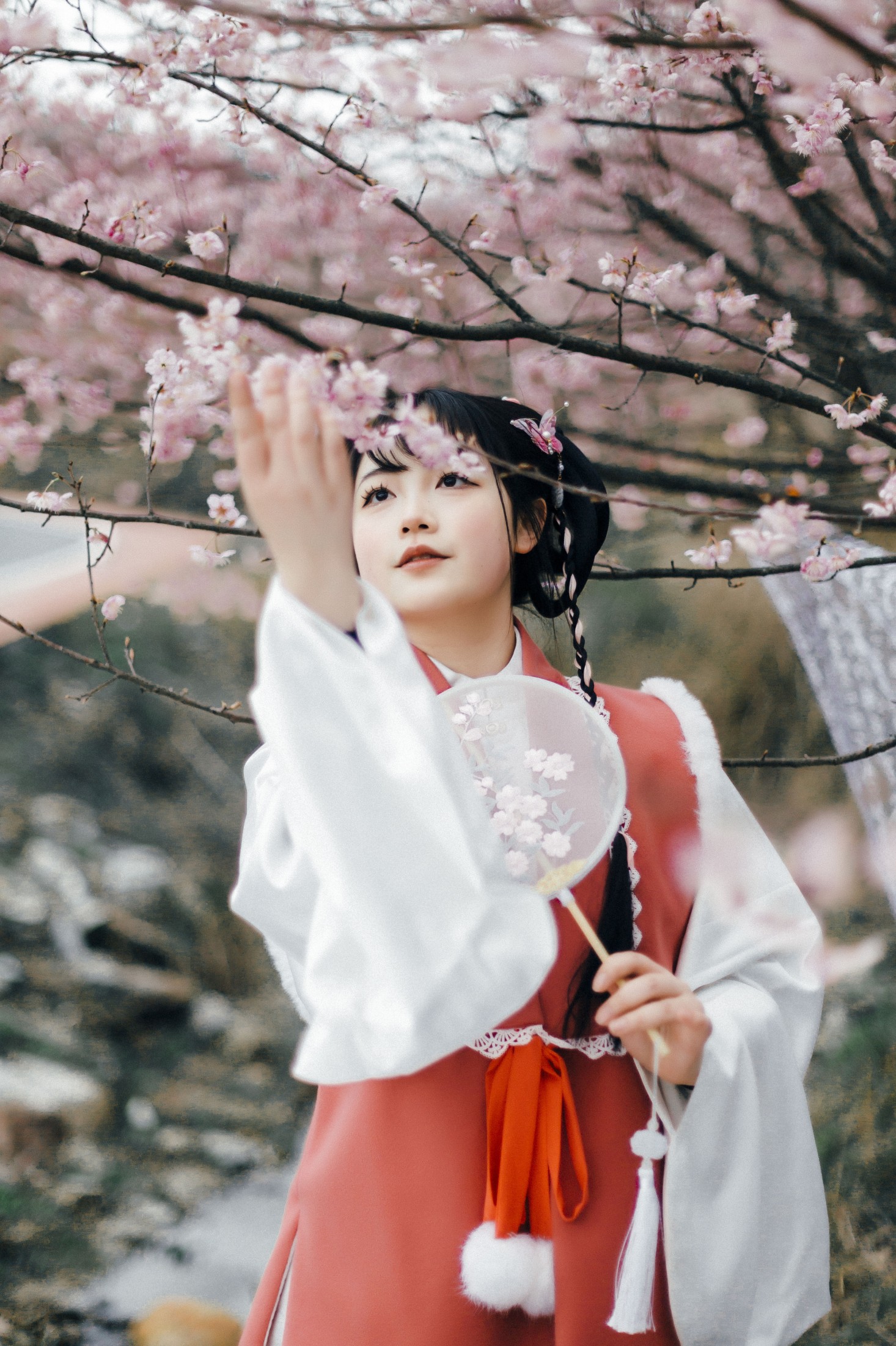 ID10214赏春 - 妍画集-妍画集