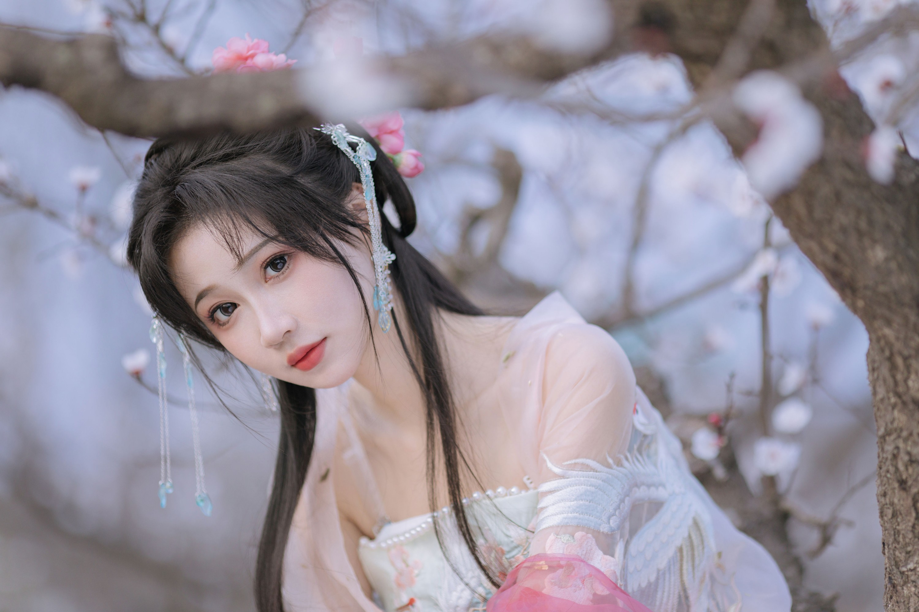 ID9781杏花小仙子 - 妍画集-妍画集
