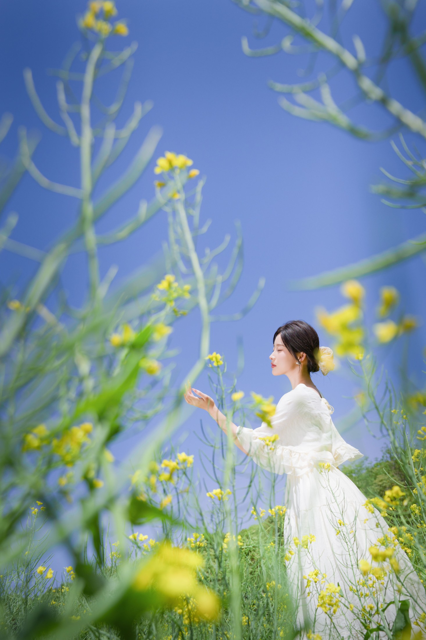 ID10318梦幻花海 - 妍画集-妍画集
