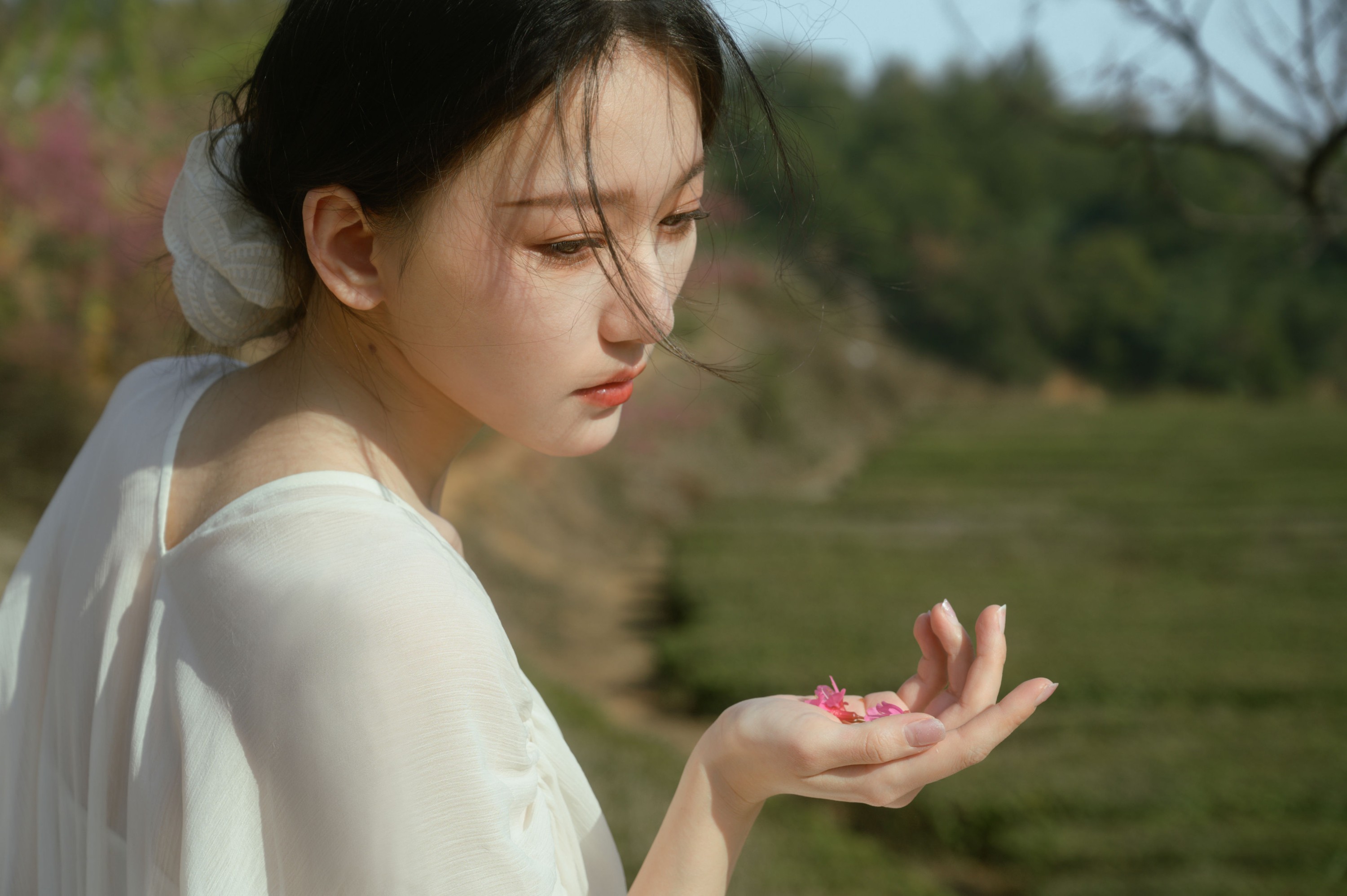 ID10134茶与樱 - 妍画集-妍画集