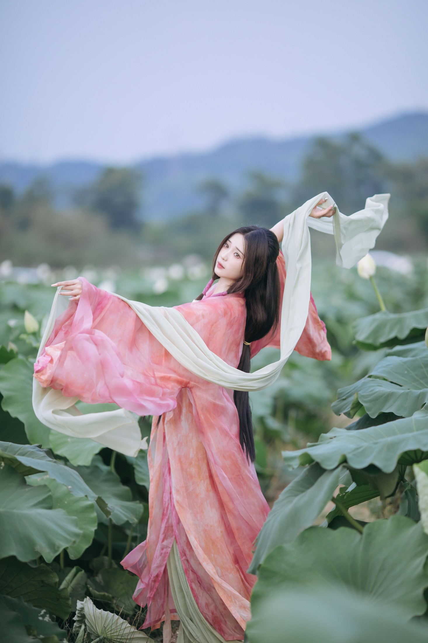 ID9787晚风吹倒荷花叶 - 妍画集-妍画集