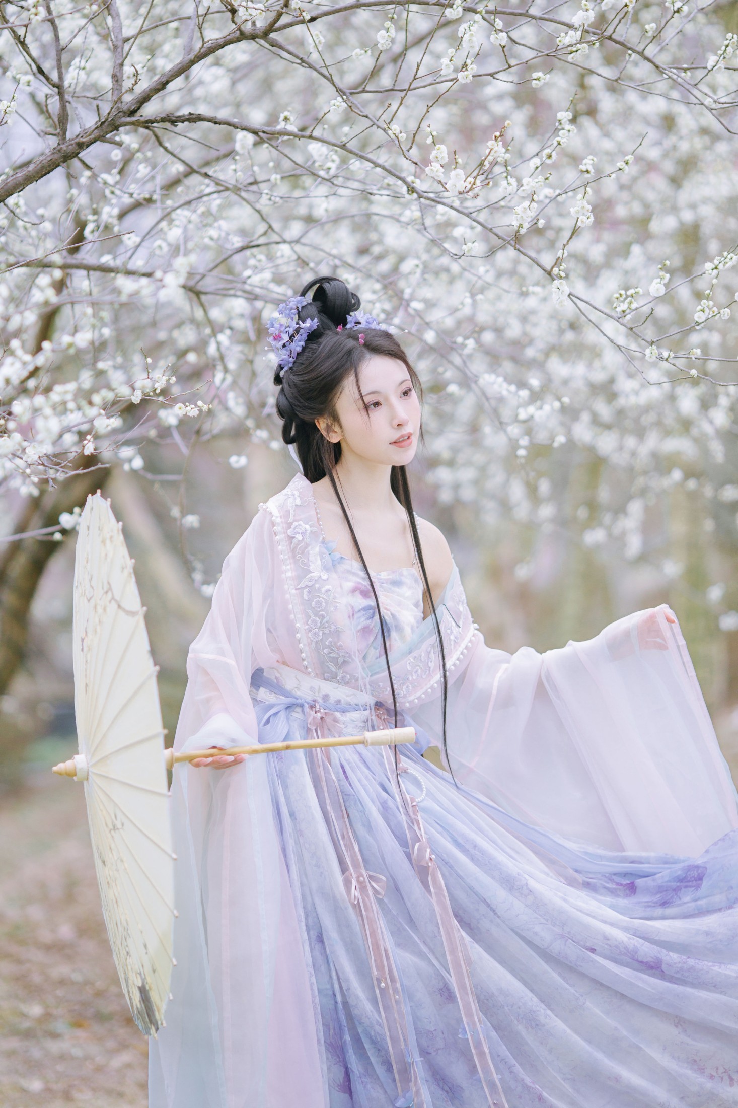 ID9789暗香疏影 - 妍画集-妍画集