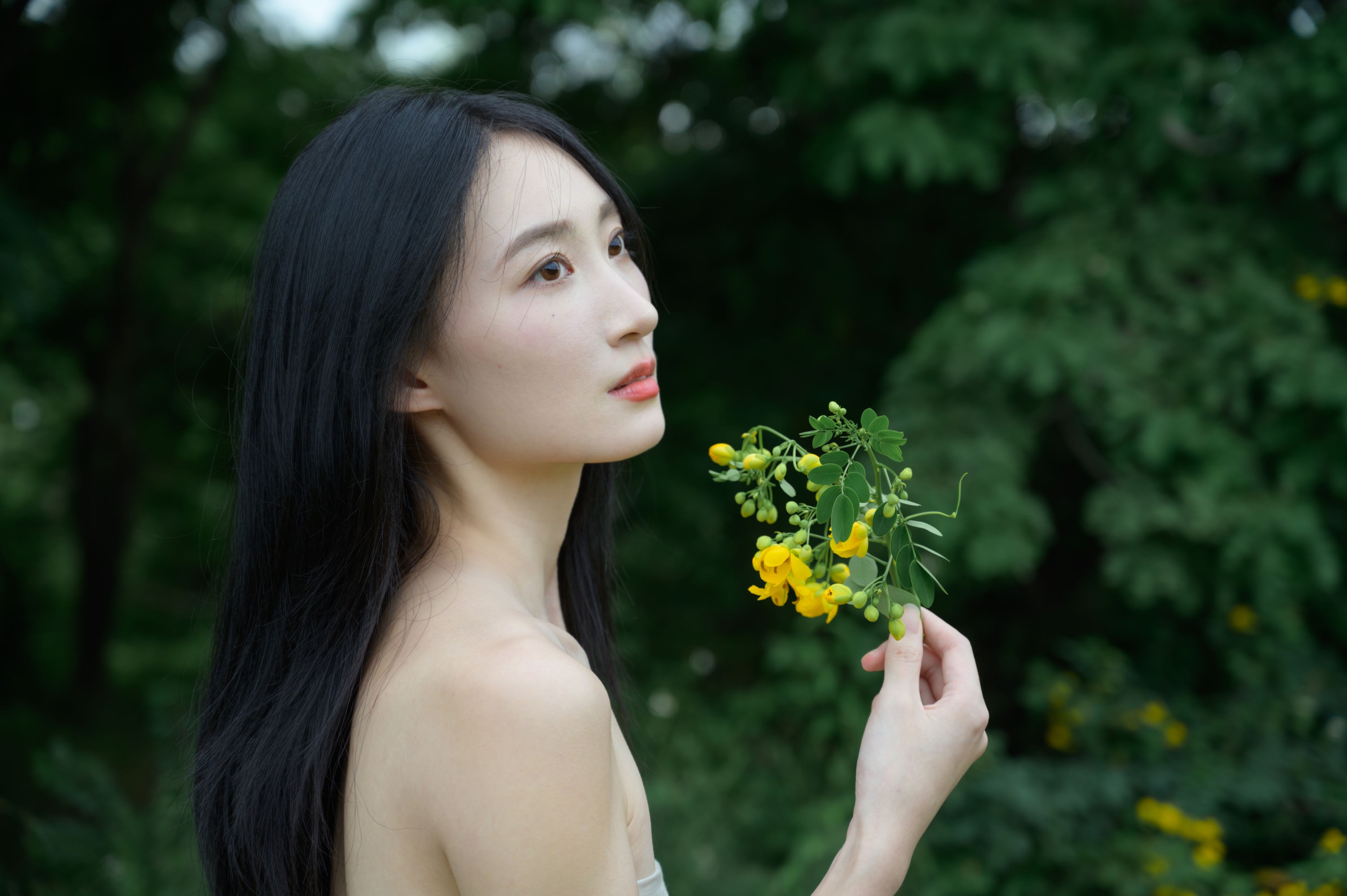 ID10137黄槐花开 - 妍画集-妍画集