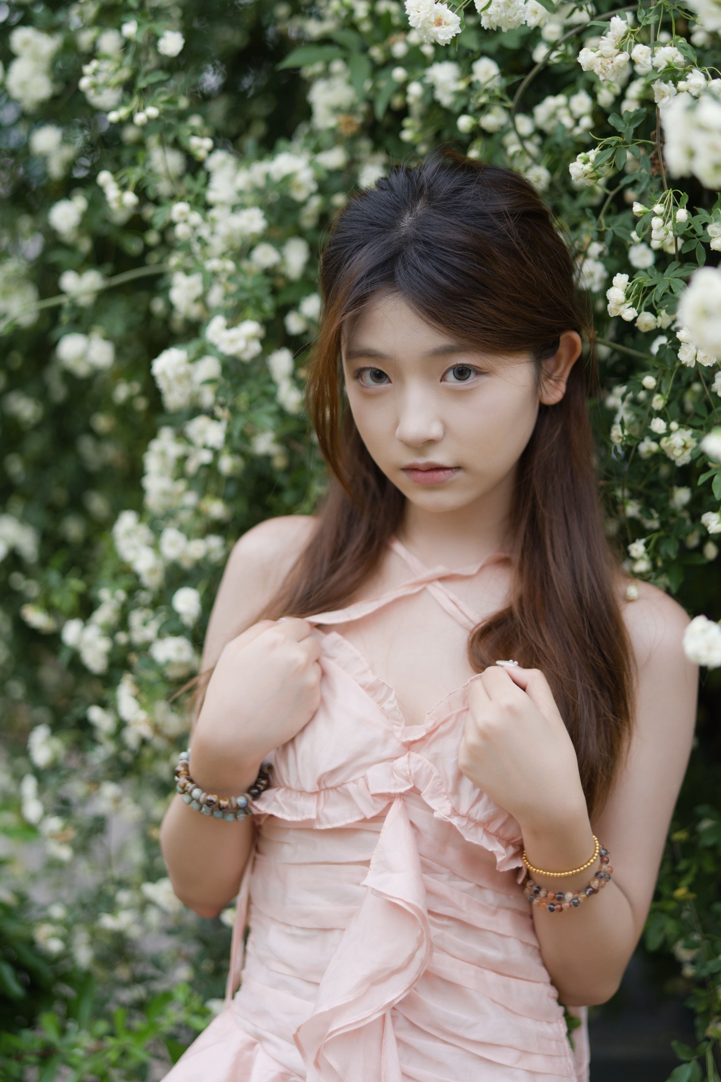 ID10453蔷薇情 - 妍画集-妍画集