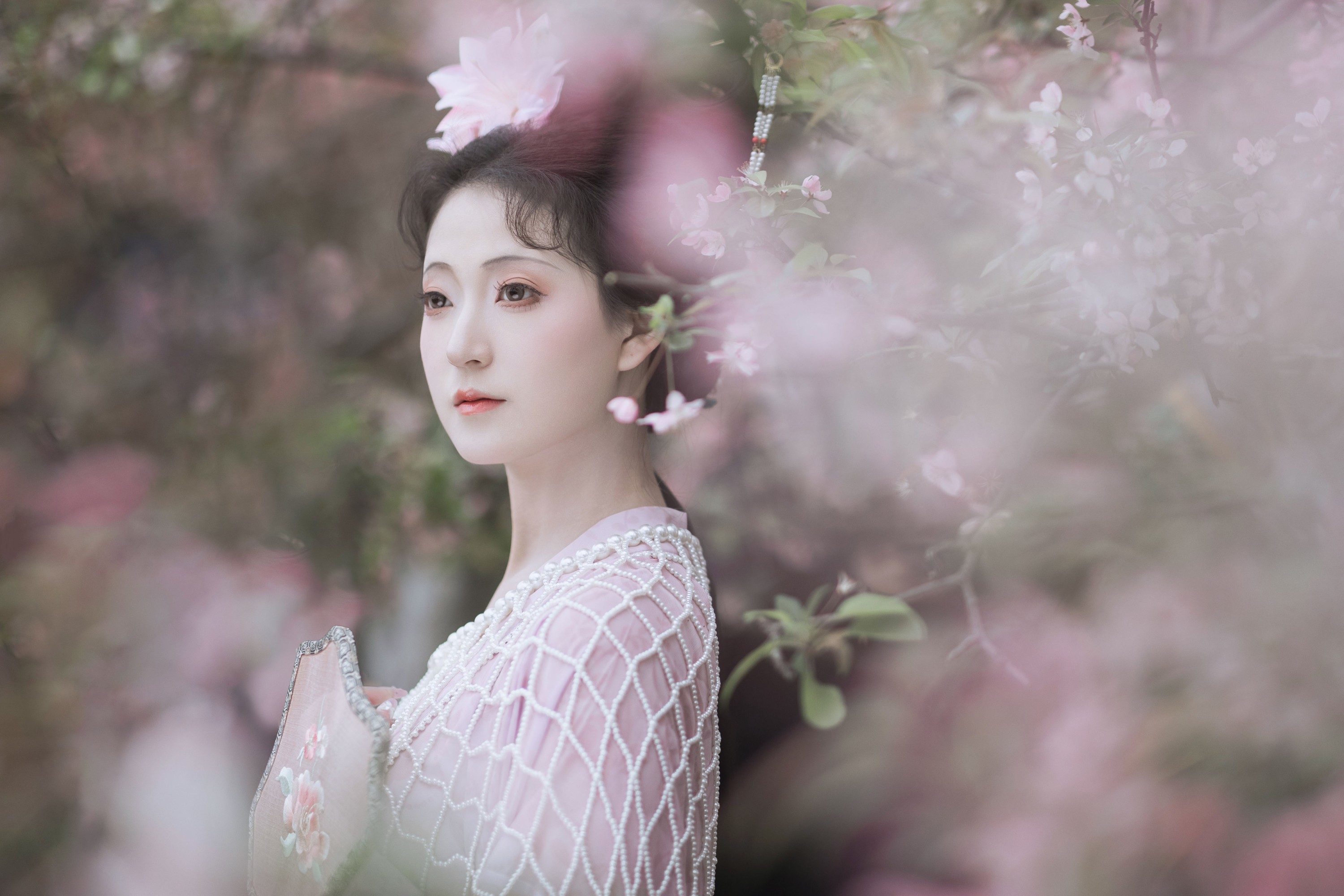 ID10257海棠依旧 - 妍画集-妍画集