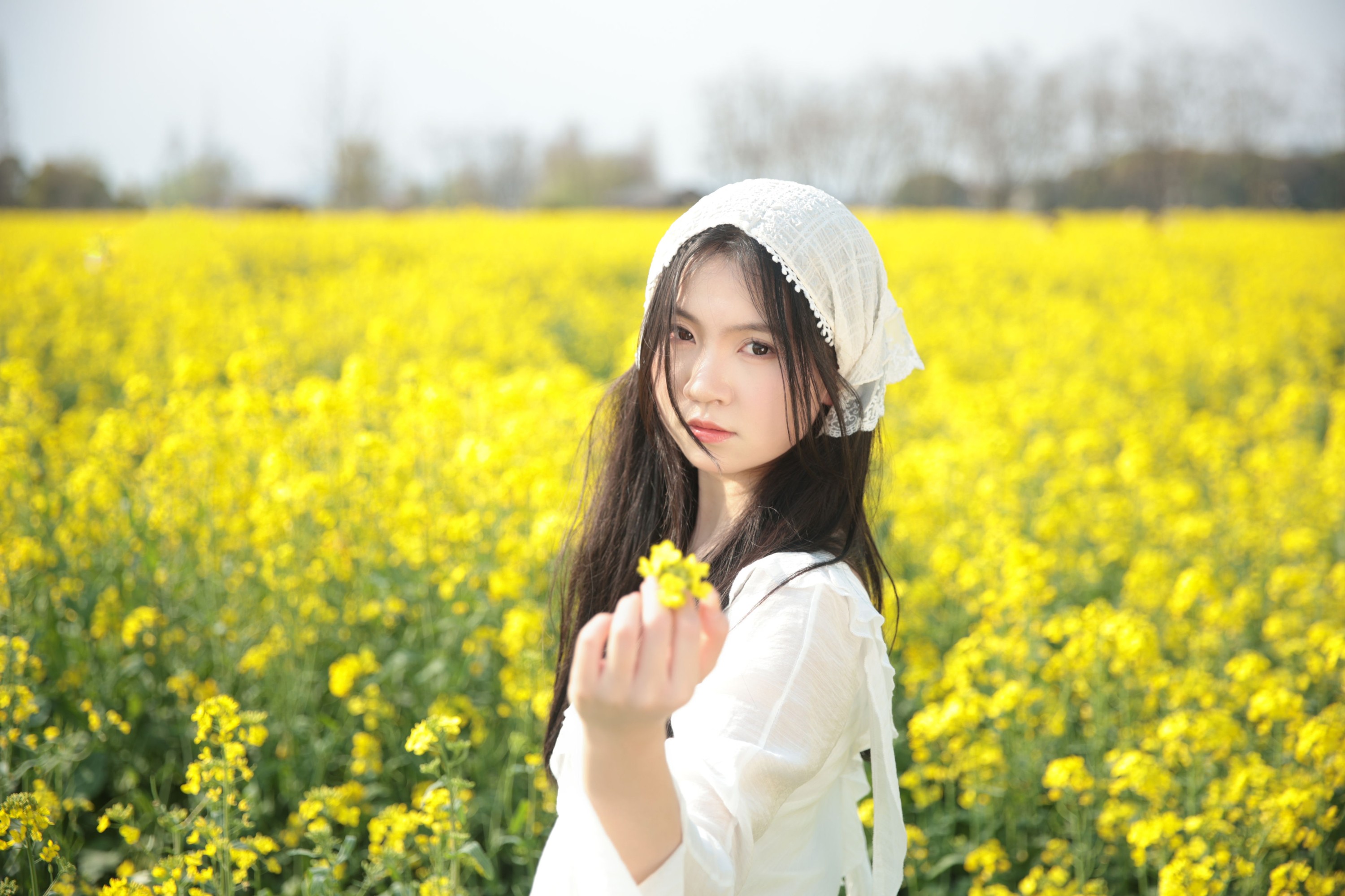 ID10472油菜花生命力 - 妍画集-妍画集