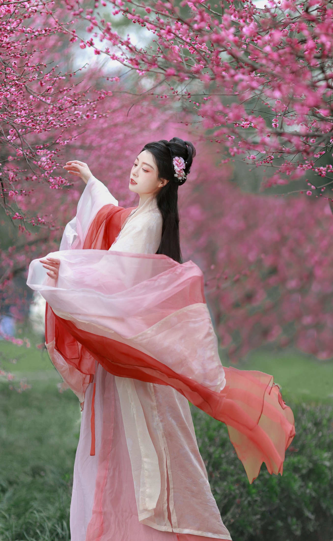 ID10530红梅 - 妍画集-妍画集