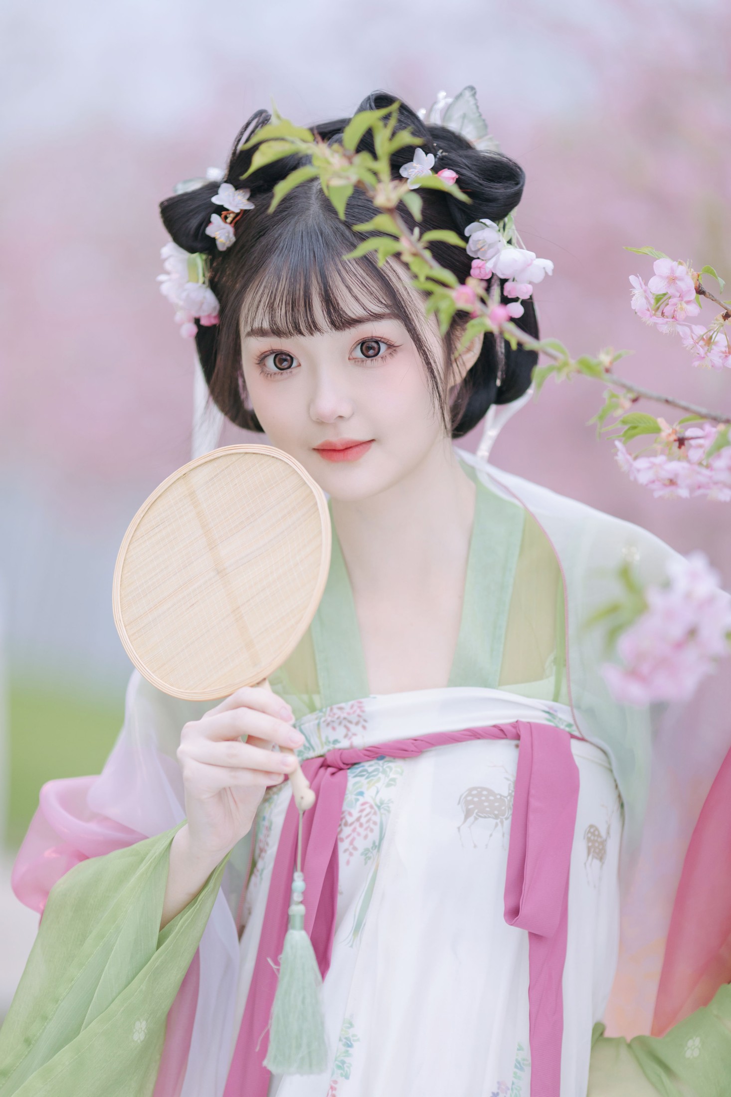 百狸 – 《春知晓》[18P] 插图5
