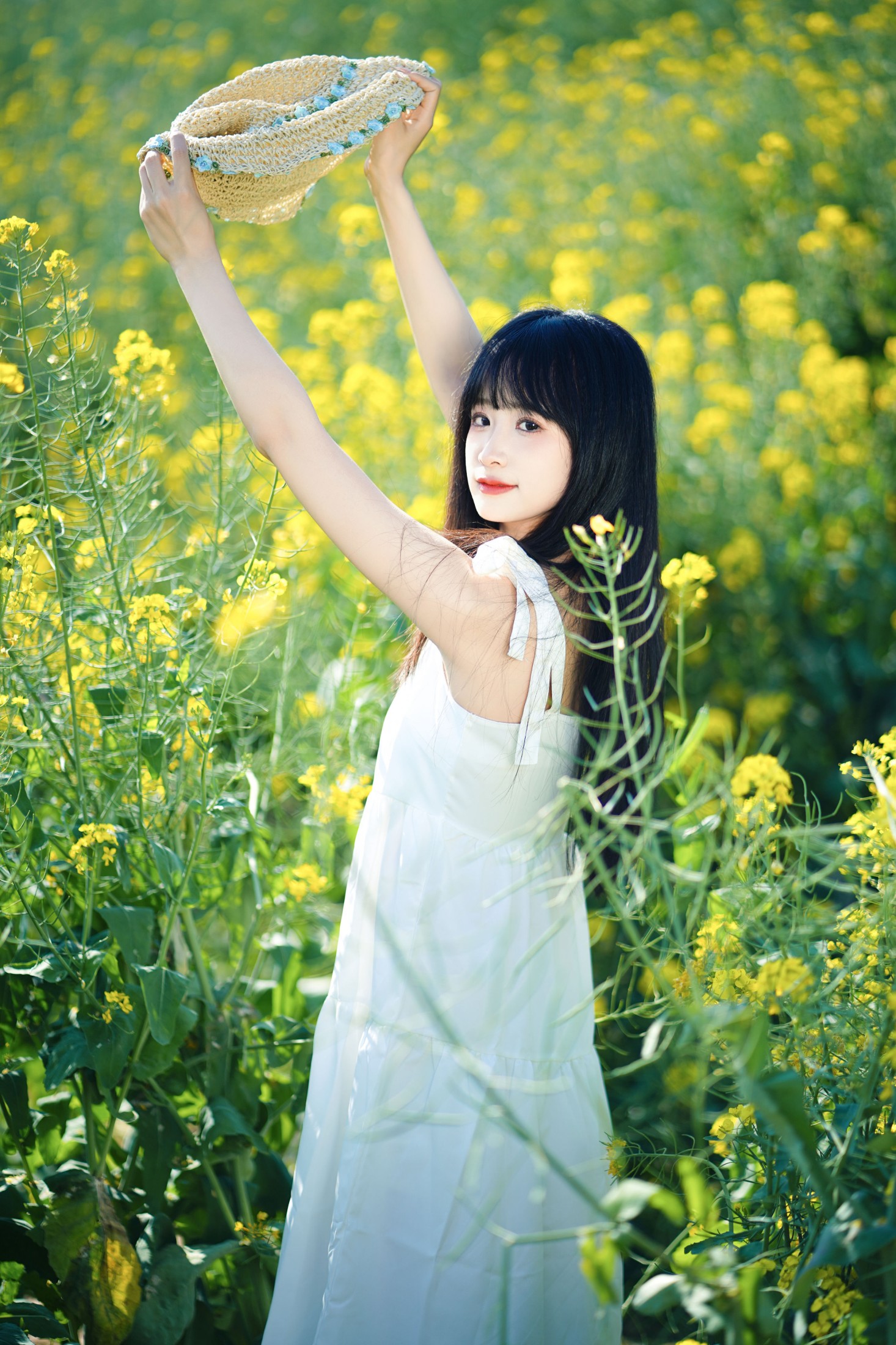 ID10496油菜花 - 妍画集-妍画集